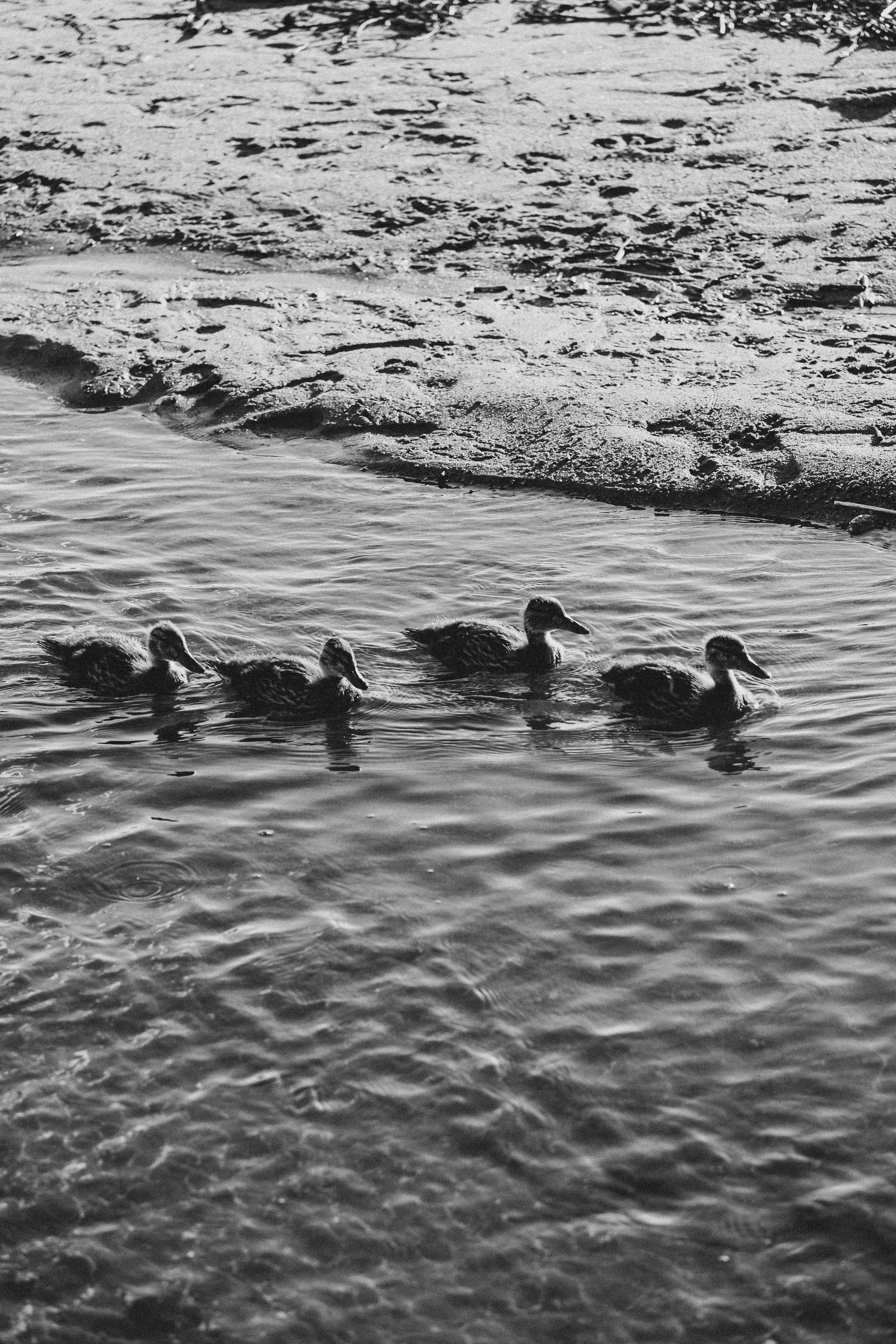 ПРОГУЛКА НА БЕРЕГУ ФИНСКОГО ЗАЛИВА. Профессиональный фотограф, Санкт-Петербург — Виктория Богомолова