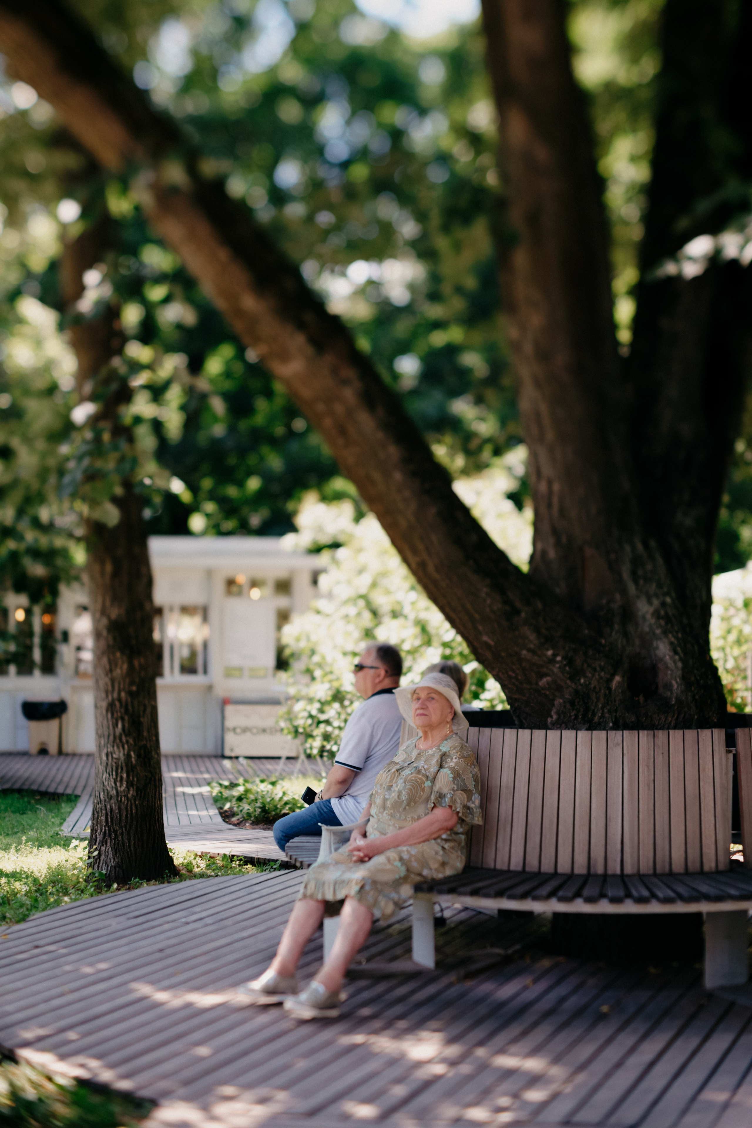 Фестиваль роз. Фотограф в Москве Дмитрий Рогов
