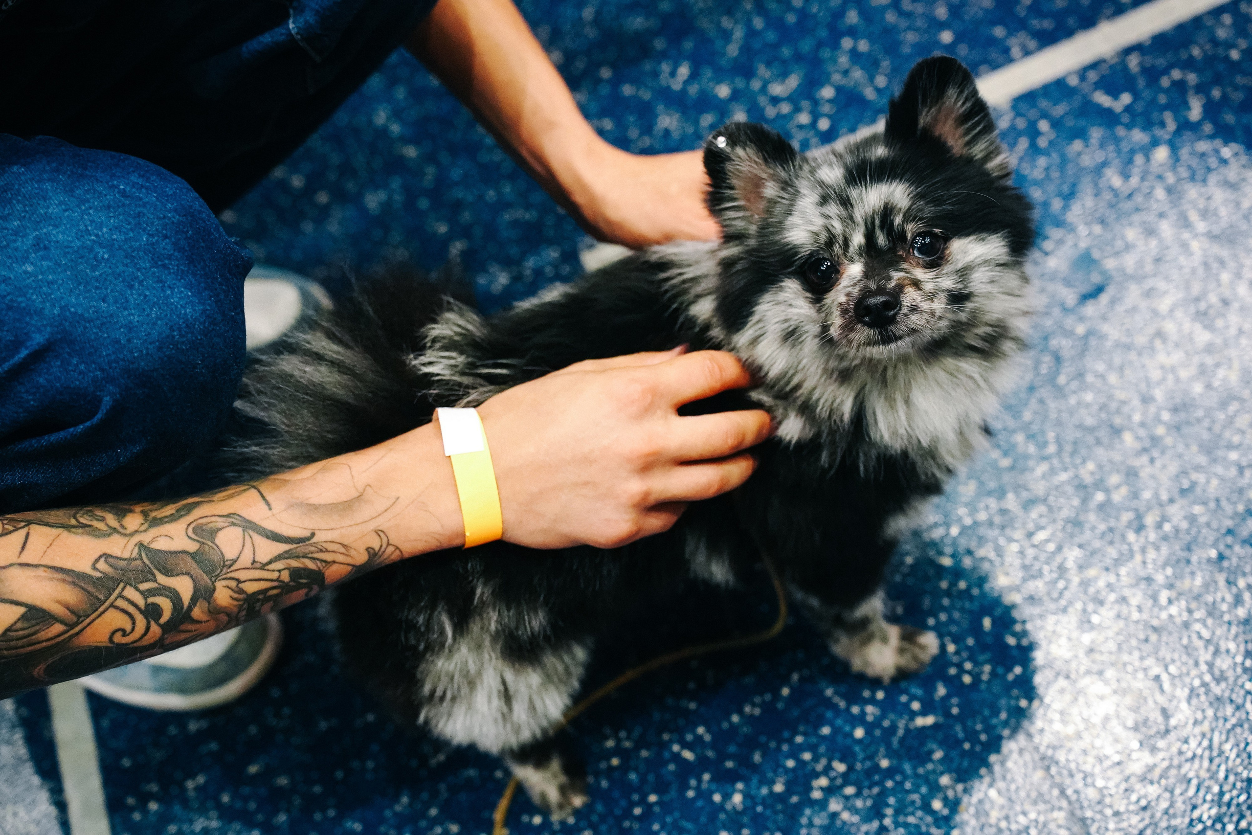 TATTOOMO. Фотограф в Воронеже Ольга Космодемьянская