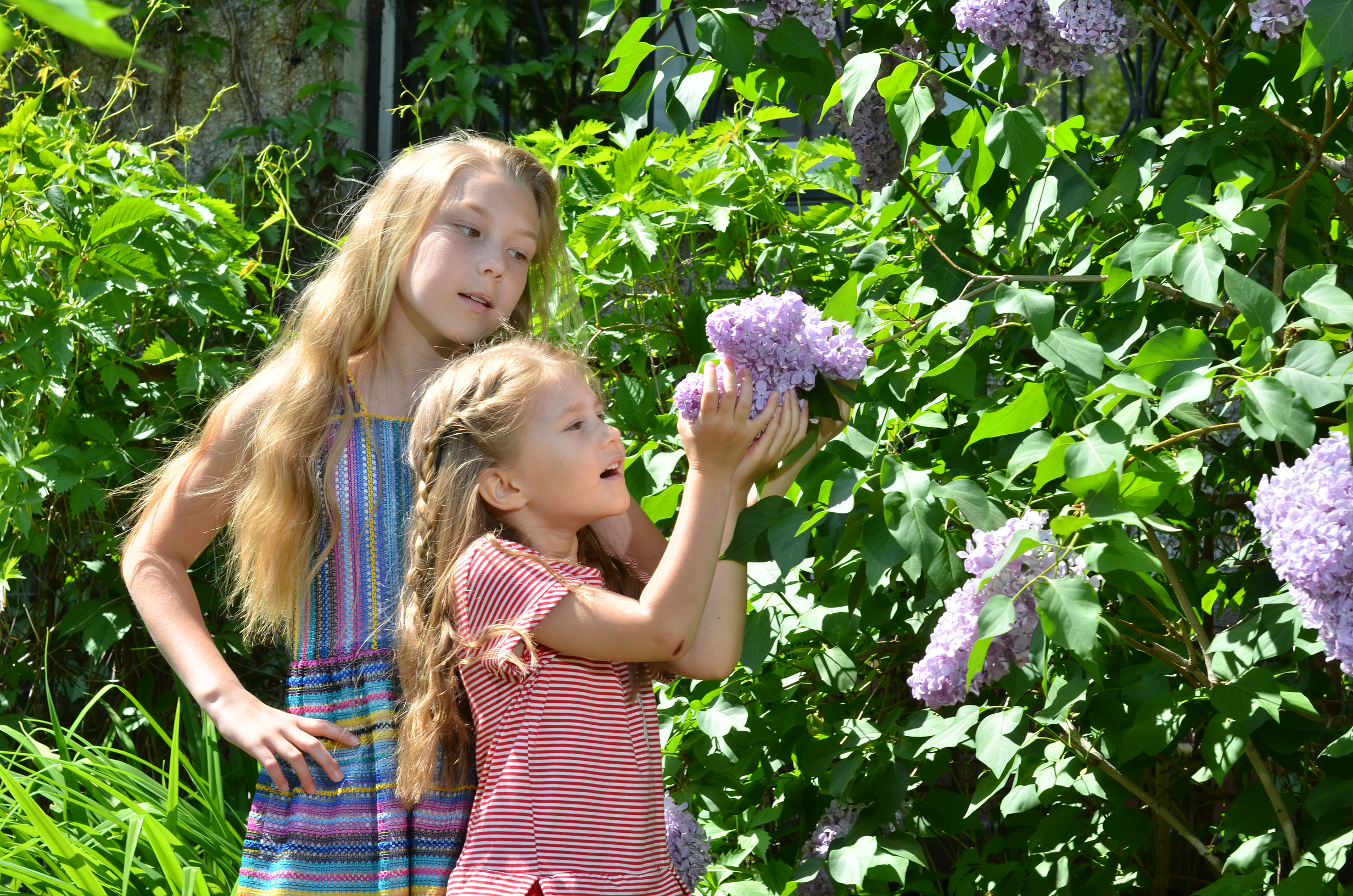 Семейная фотосессия. Выпускные фотокниги, фотосъемка, видеосъемка в Челябинске и области