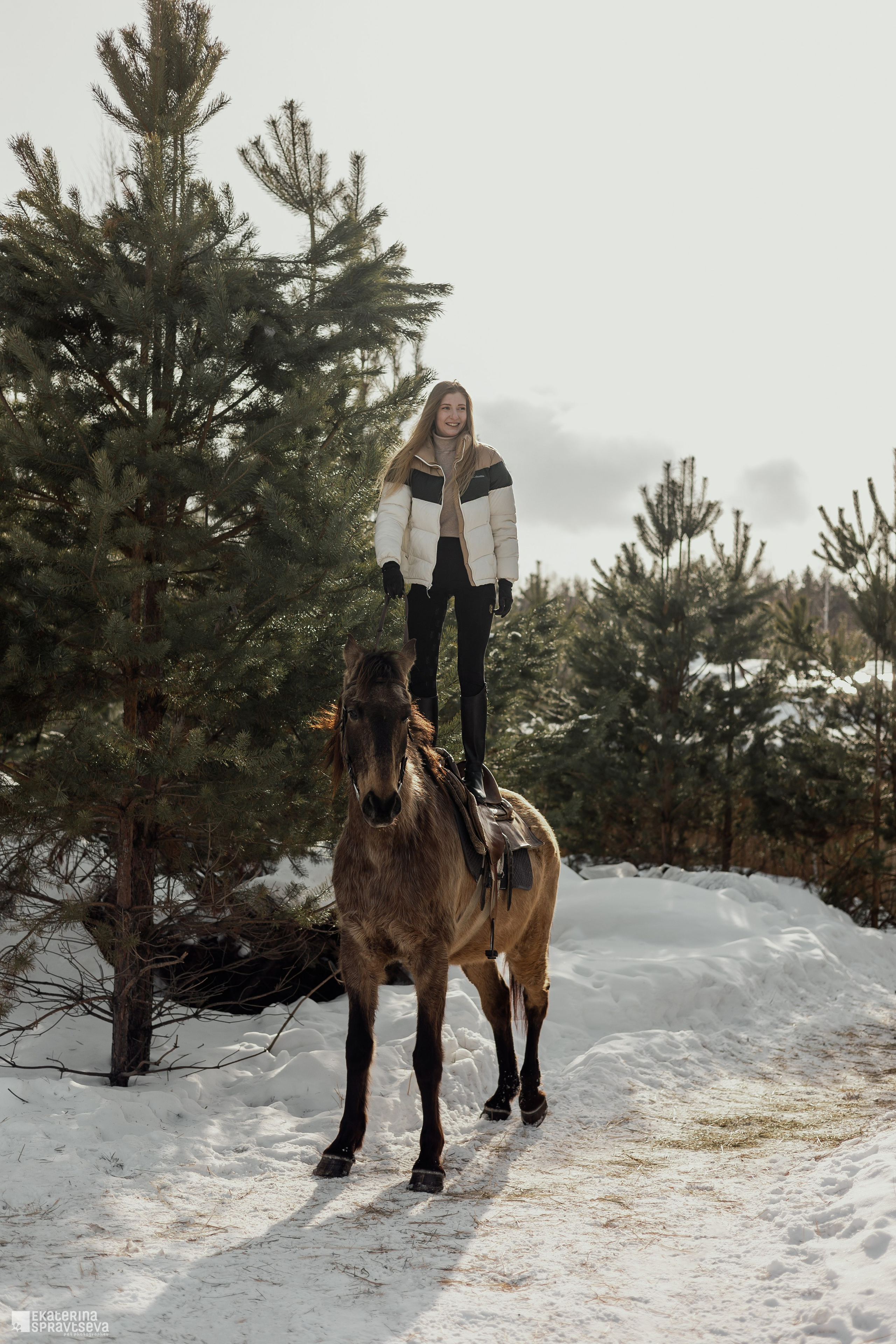 Среди грив и копыт. Фотограф Анималист Екатерина Справцева в Нижнем Новгороде