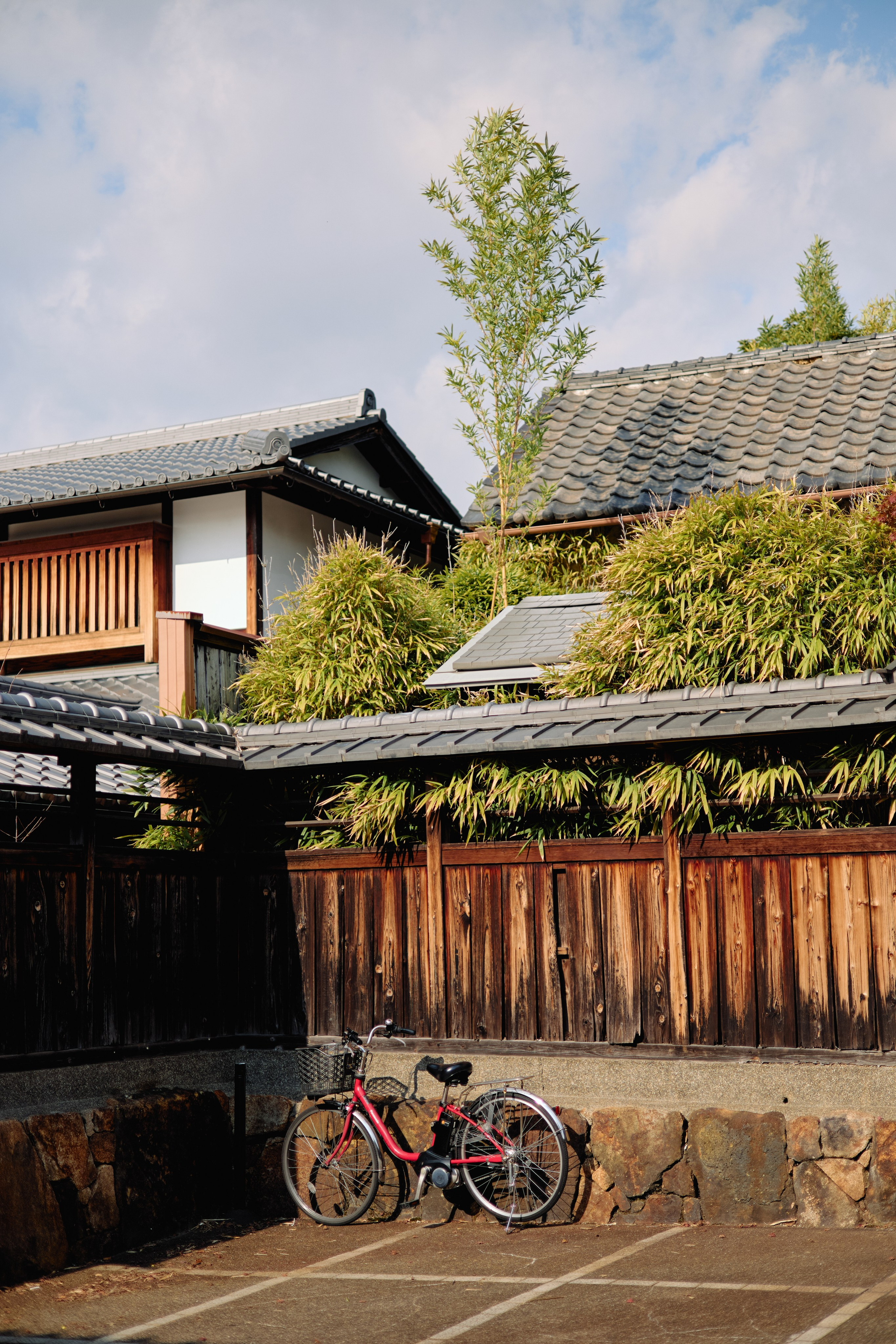 Япония. Профессиональный Фотограф во Владимире, в Москве и в Суздале — Полина Романычева