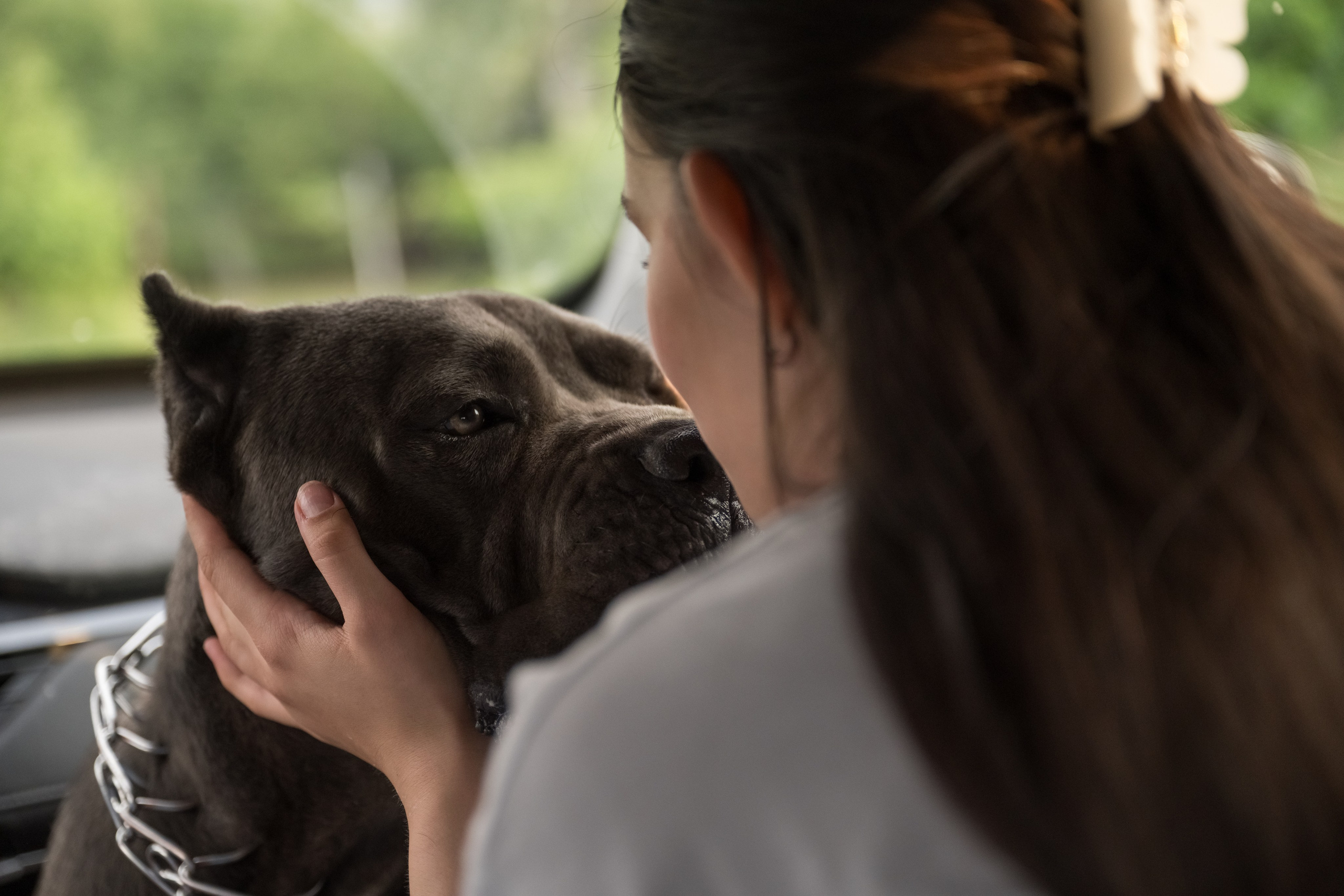 Дина, Яна и Лео. Фотограф Саратов Юлия Петрова