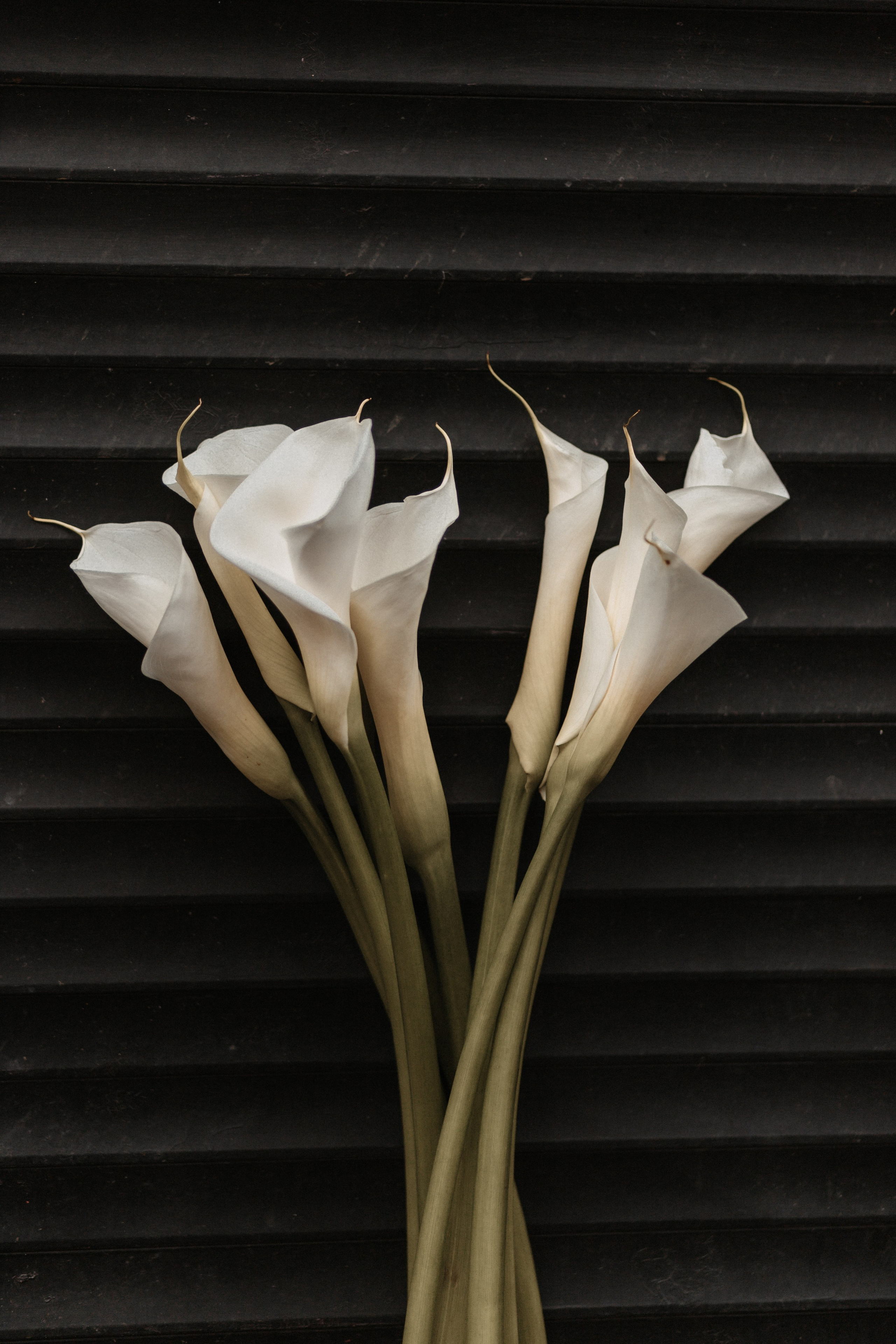 Сережа и Ира (2024). Свадебный и семейный фотограф в Москве Яна Шувалова