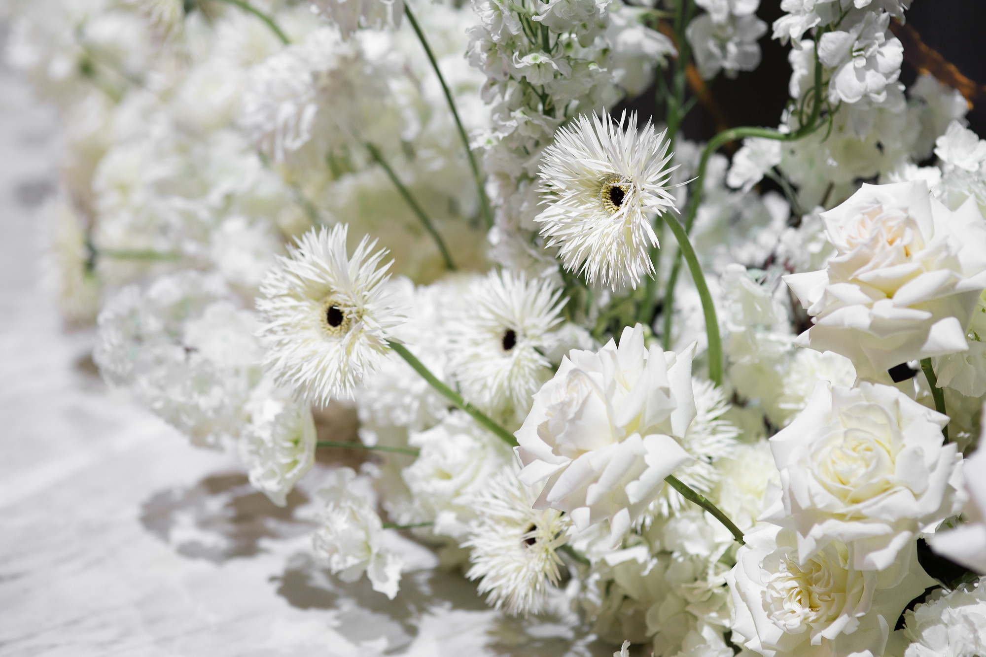 Wawelberg Hall. Свадебный фотограф в Санкт-Петербурге Наталья Вендт