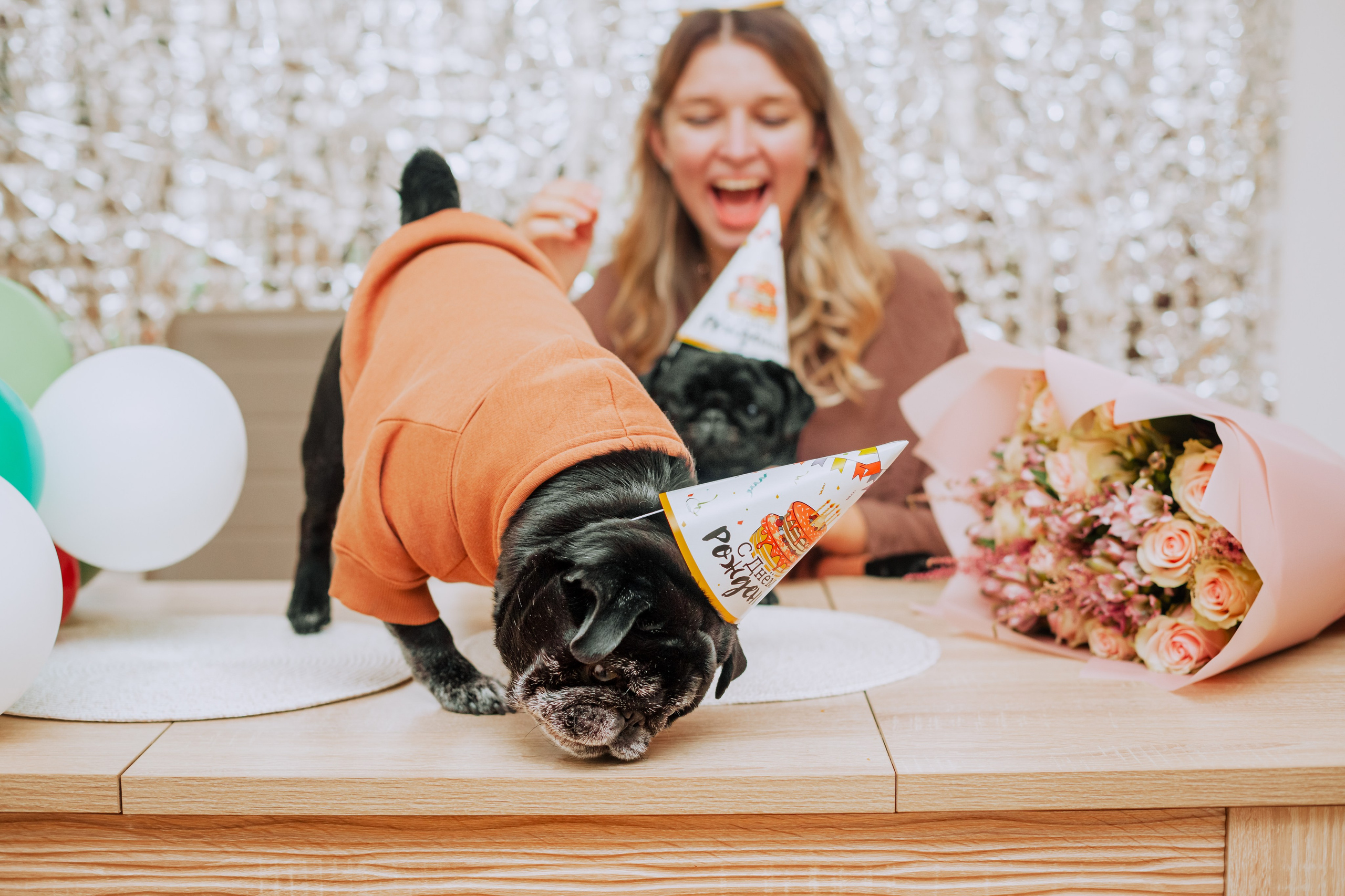 Оля, Харви, Луис. Фотограф-анималист Татьяна Степанова