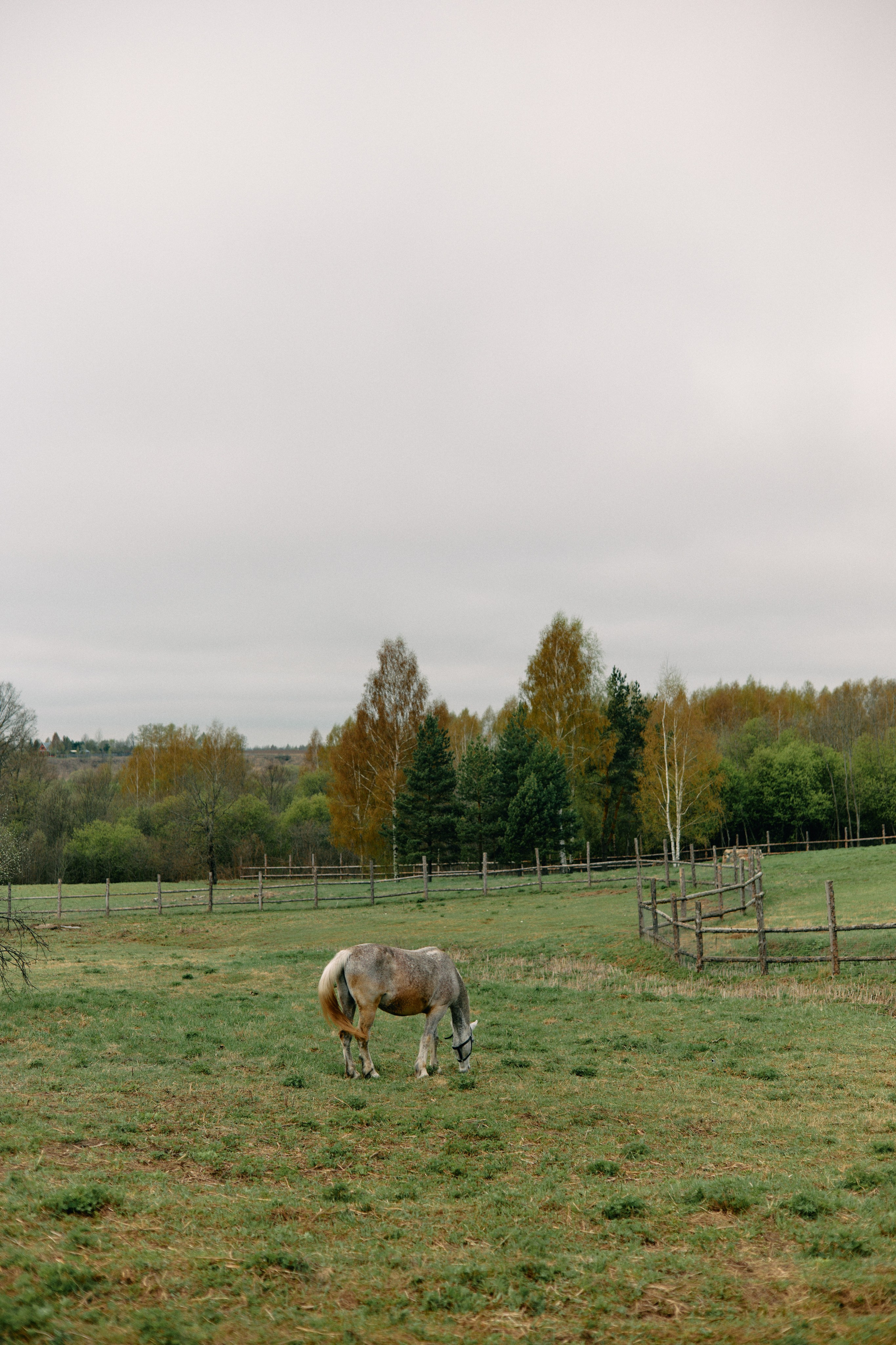 Бутик-отель Поле летом. Профессиональный Фотограф во Владимире, в Москве и в Суздале — Полина Романычева