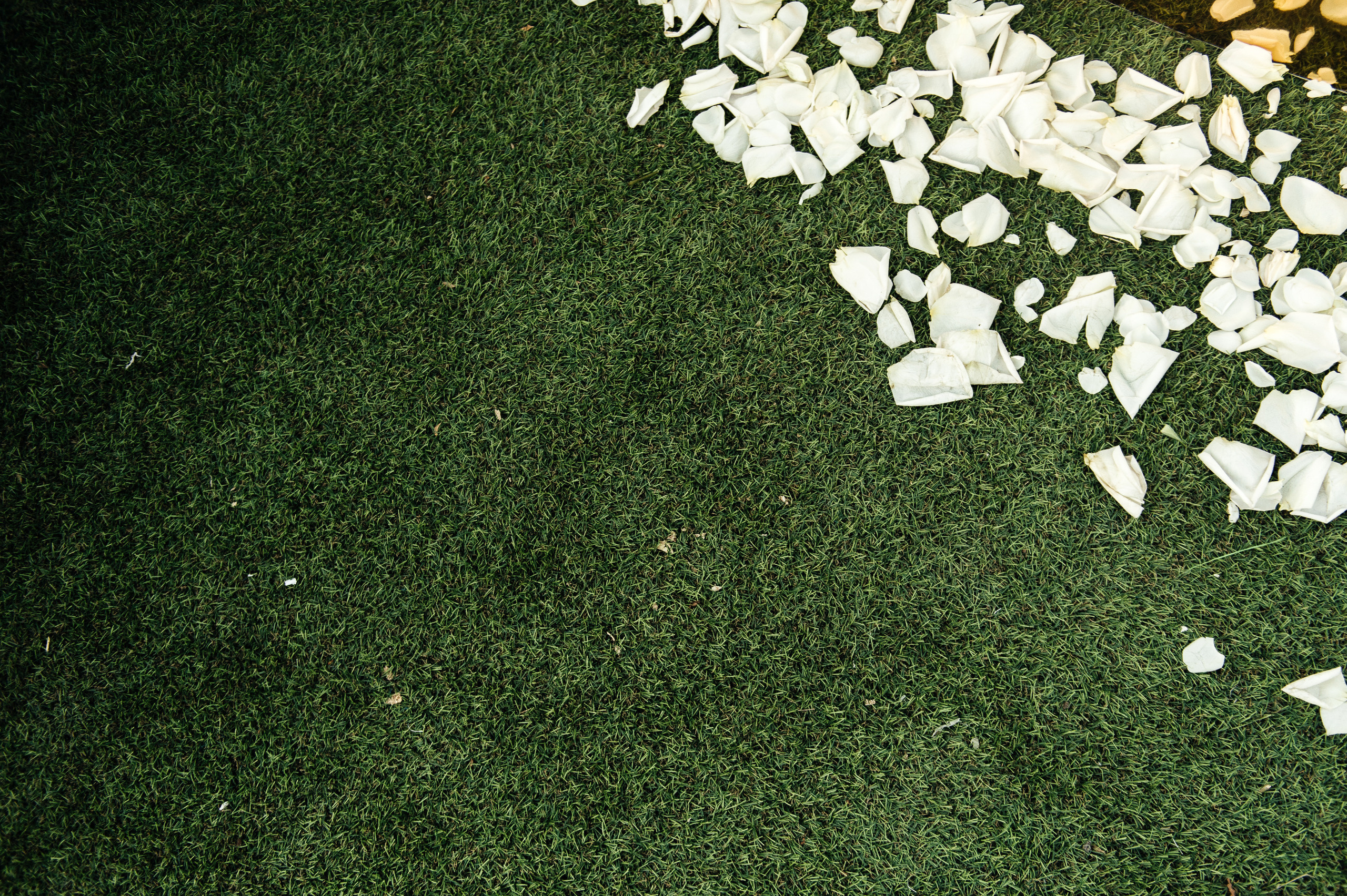 Артём и Елена Таганрог. Свадебный фотограф в Ростове-на-Дону Тарасенко Константин