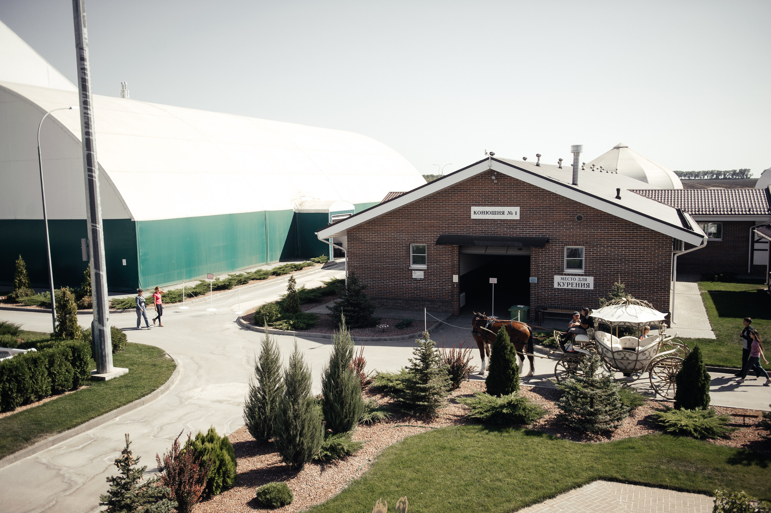 Артём и Елена Таганрог. Свадебный фотограф в Ростове-на-Дону Тарасенко Константин