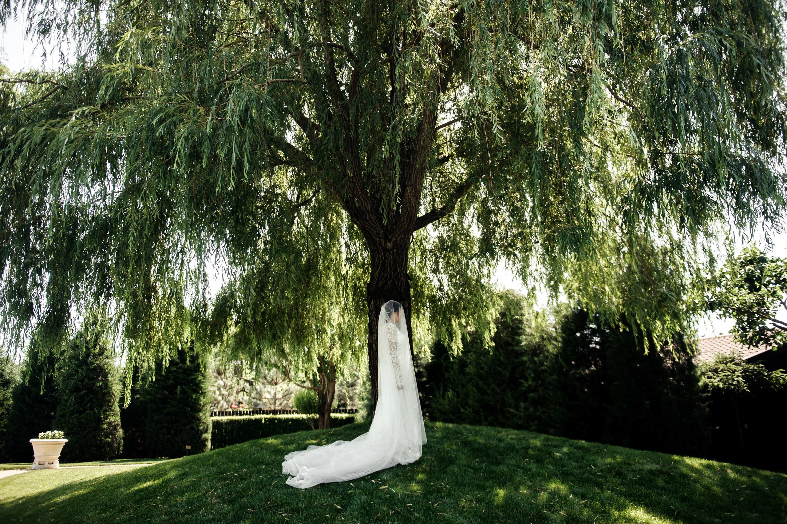 Гурам и Карина Ростов. Свадебный фотограф в Ростове-на-Дону Тарасенко Константин