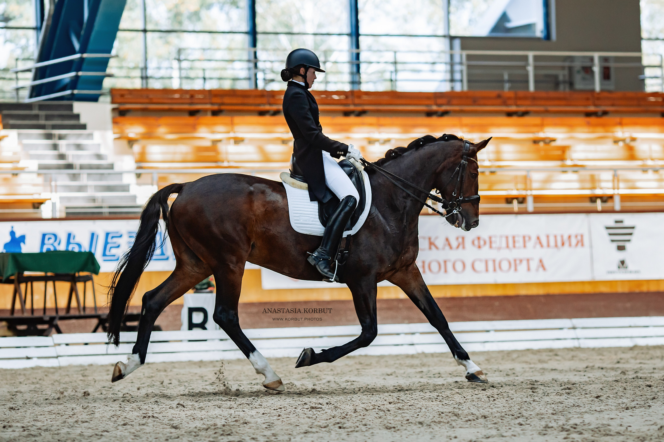 Кубок Доватора 22.09.2023. Арт фотограф в Минске Анастасия Корбут