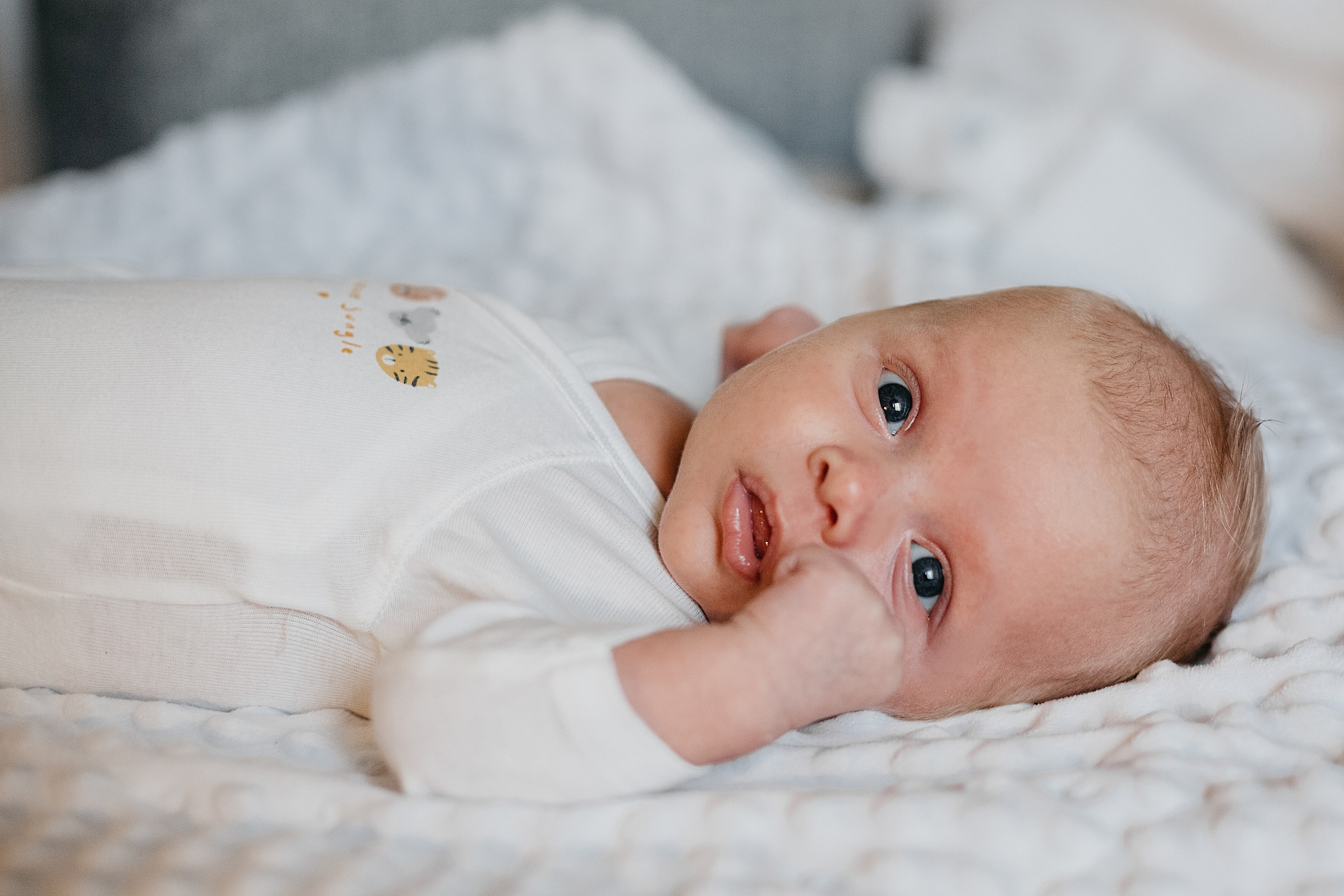 Домашнее❤. Свадебный и семейный фотограф Спб Бошман Ирина