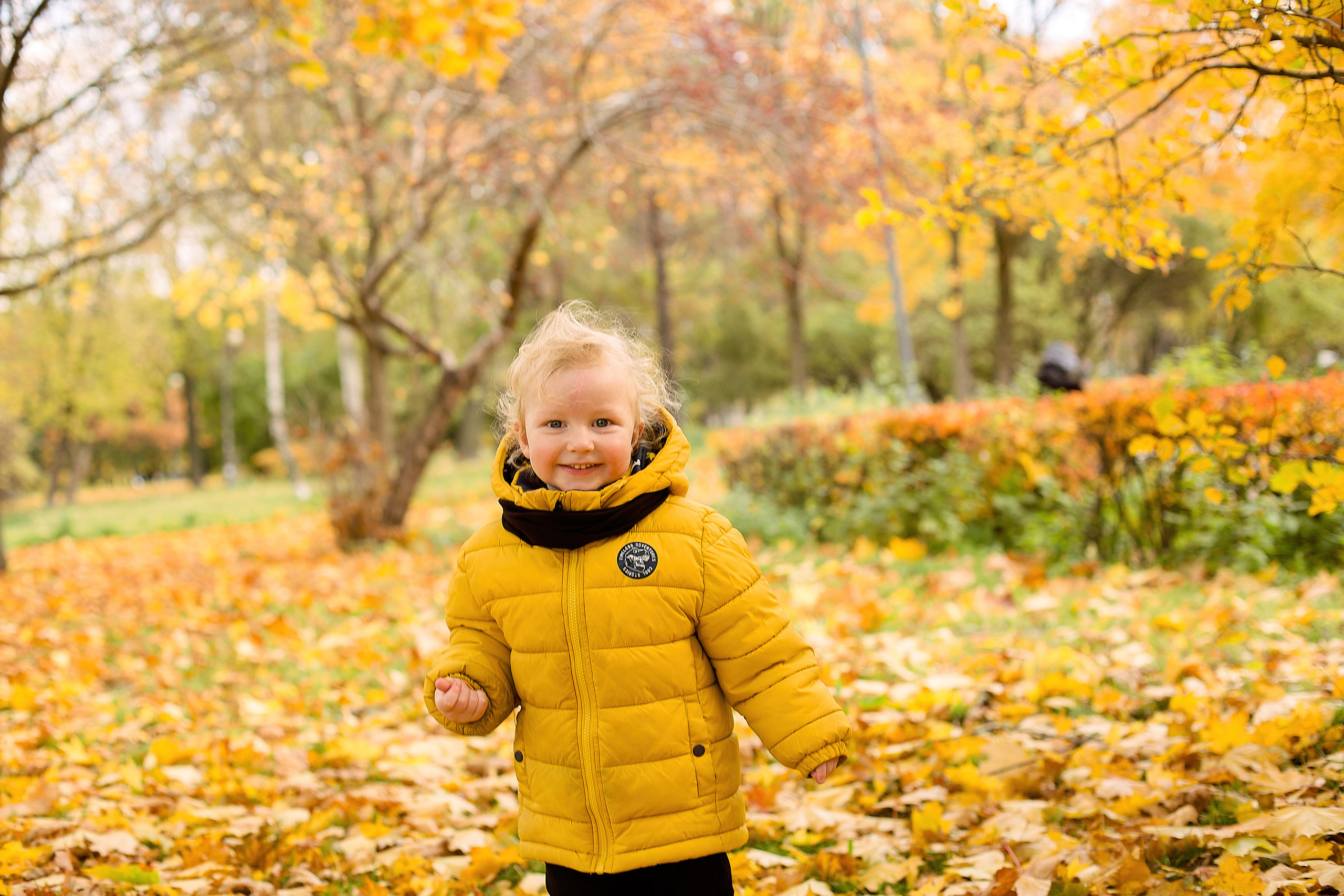 Осенние фотосьемки. Свадебный и семейный фотограф Спб Бошман Ирина