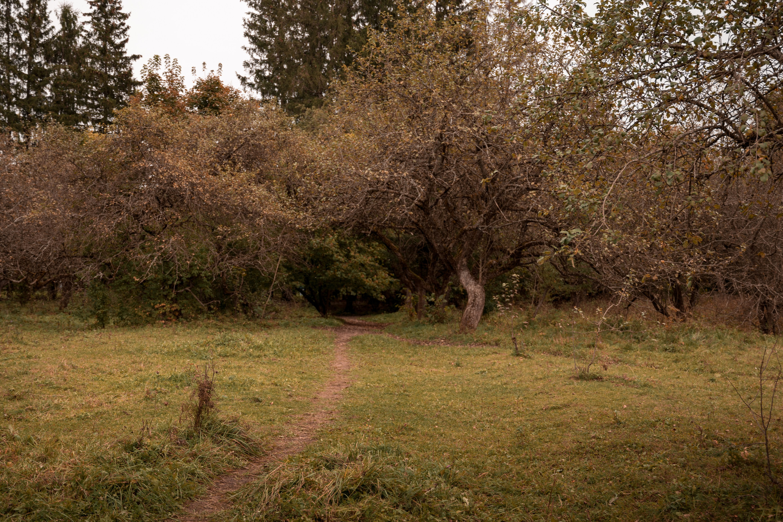 Места. Фотограф в Минске Дарья Кончакова