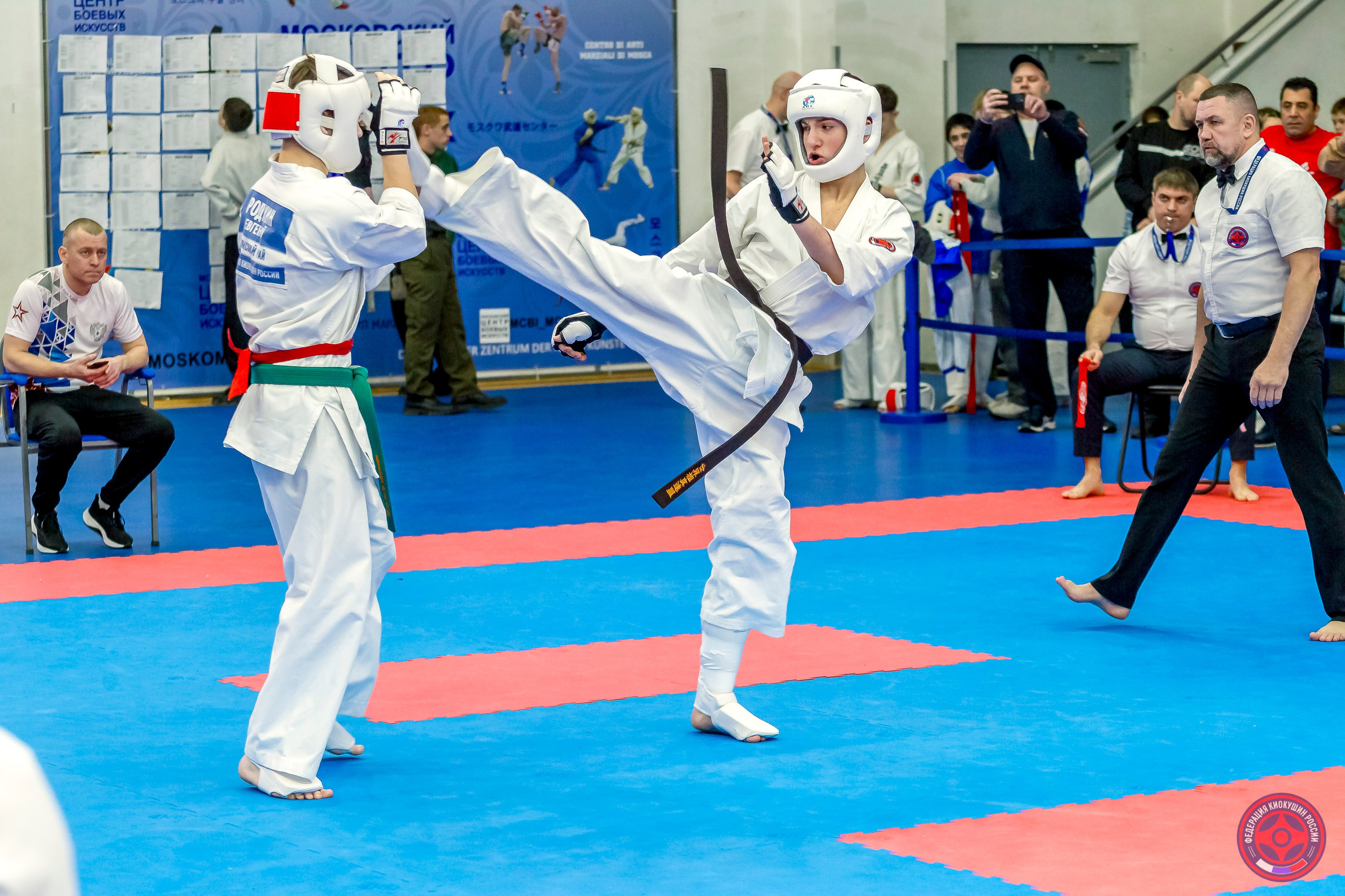 Международный турнир по киокушин «Открытый кубок Seiken». Репортажная съемка в Москве и области. Анималистика