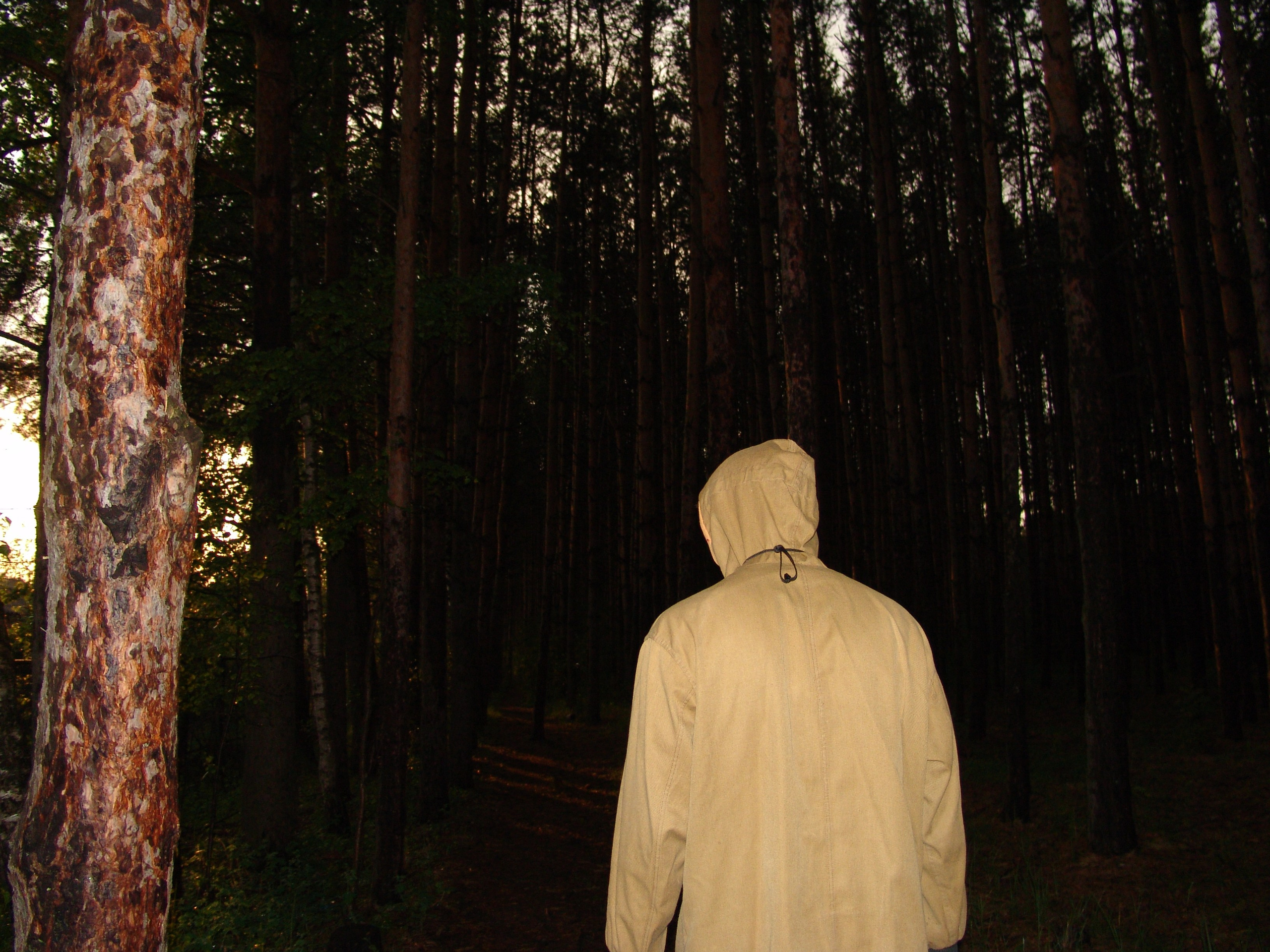 Приезд КС 2005. Заставка