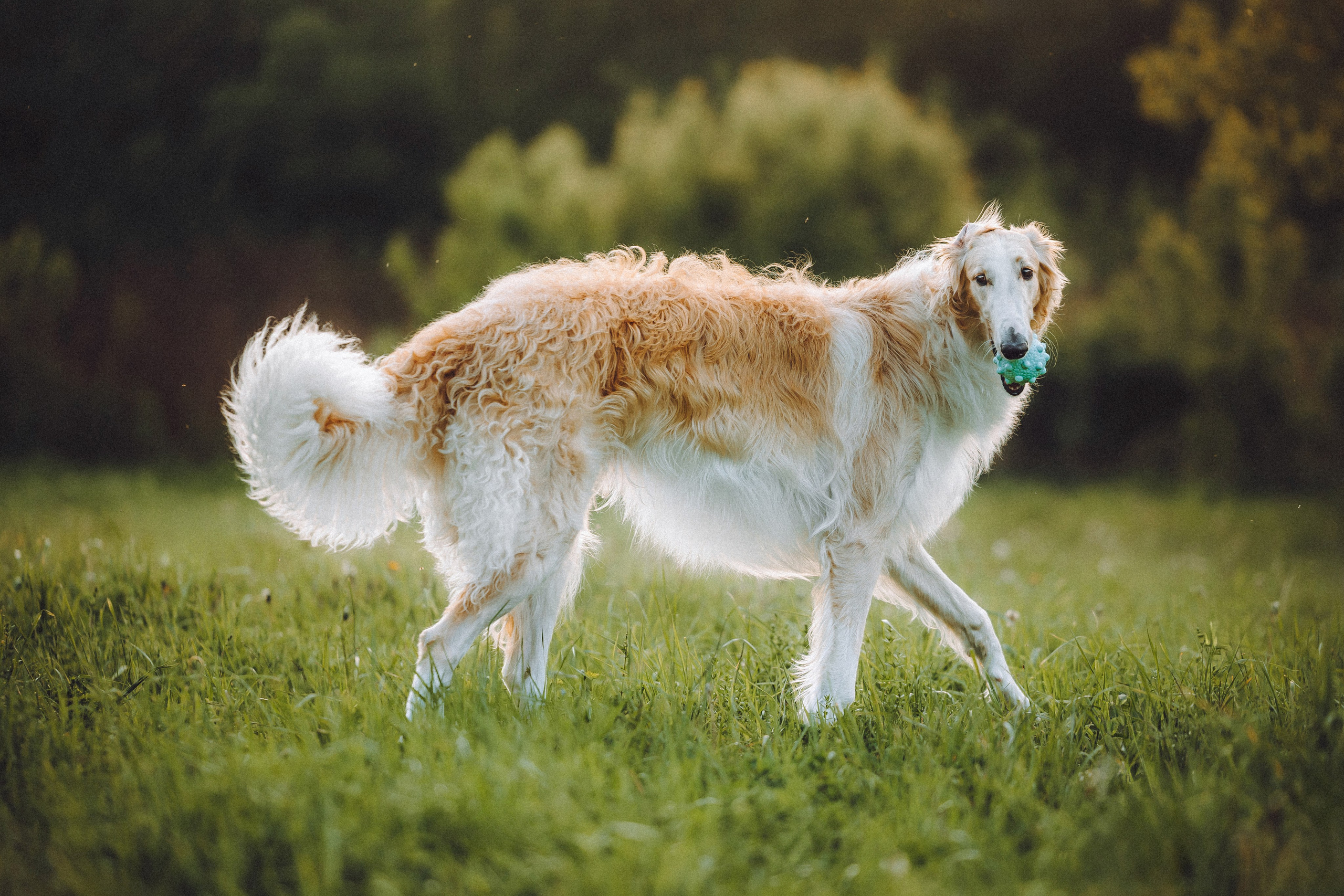 Илай, Зайка и их семья