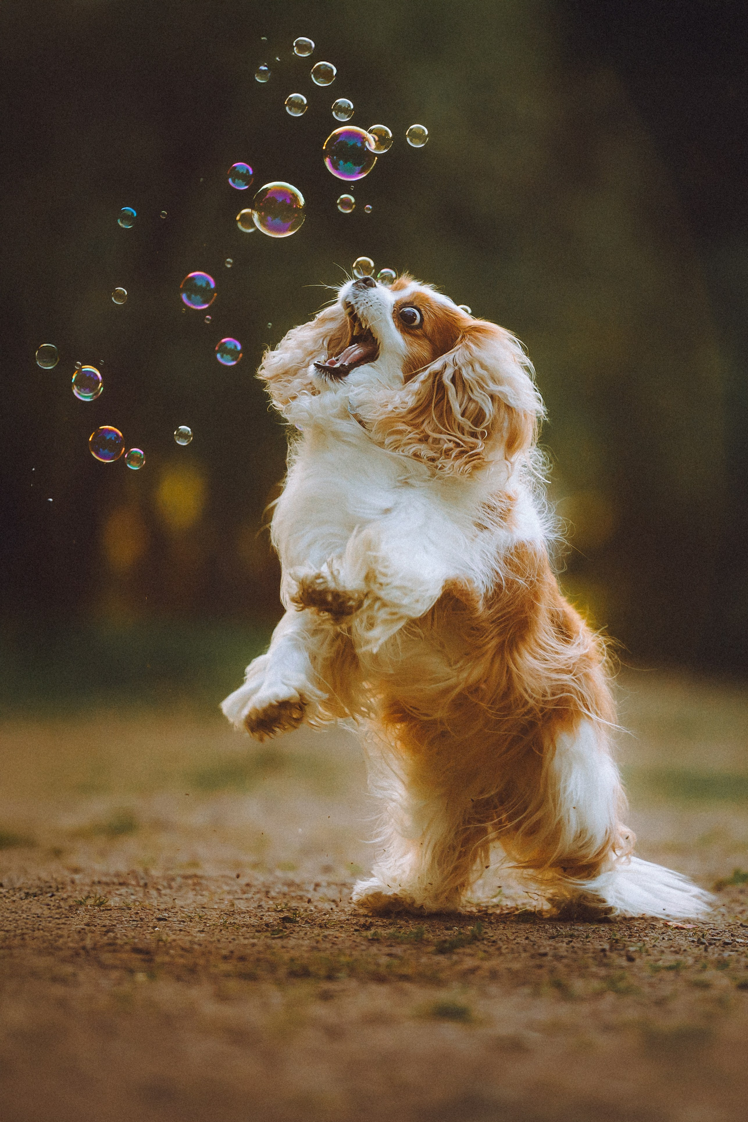 Наташа и Вики