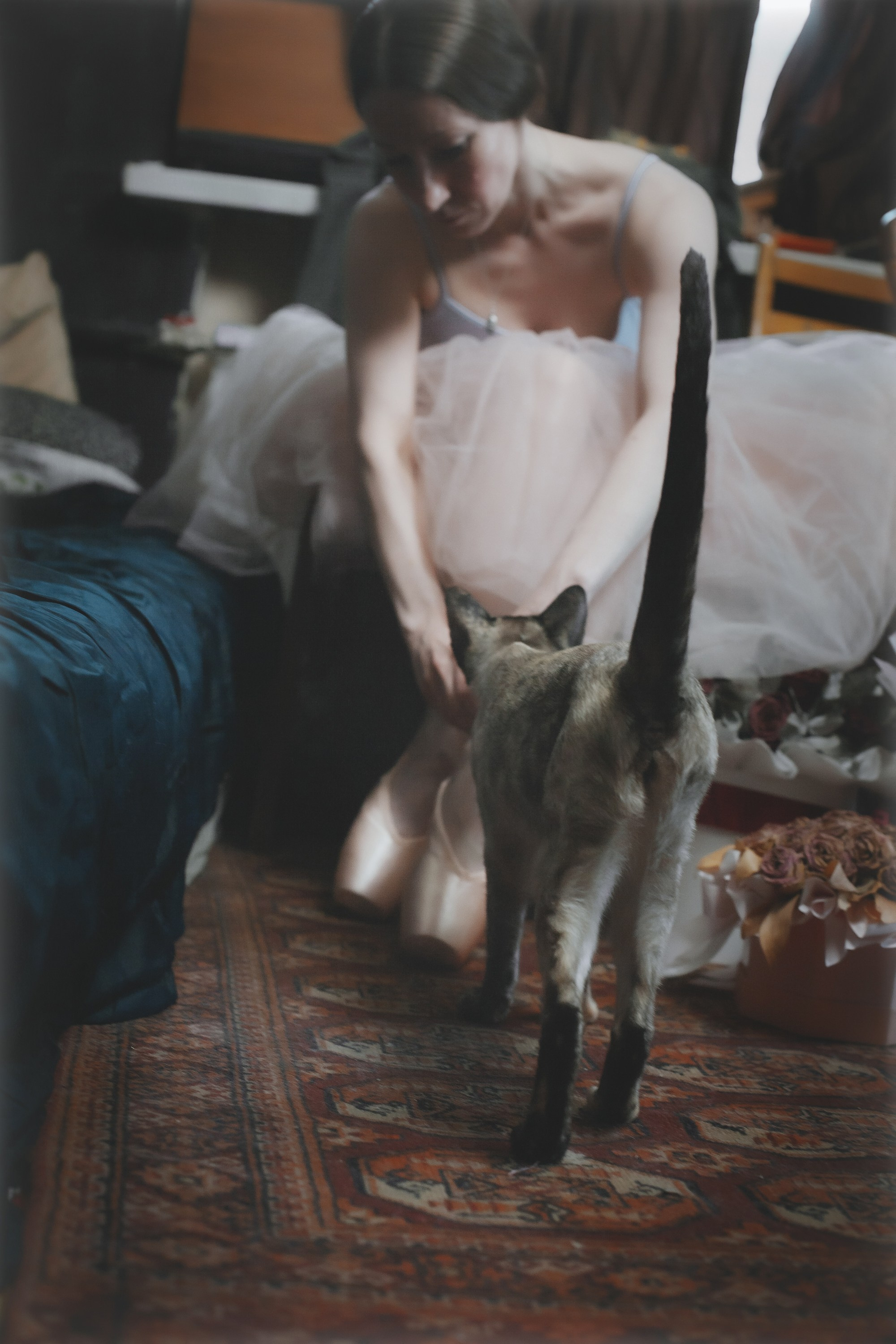 Картина. Домашняя студия. RawCat. Портретная фотография Екатеринбург