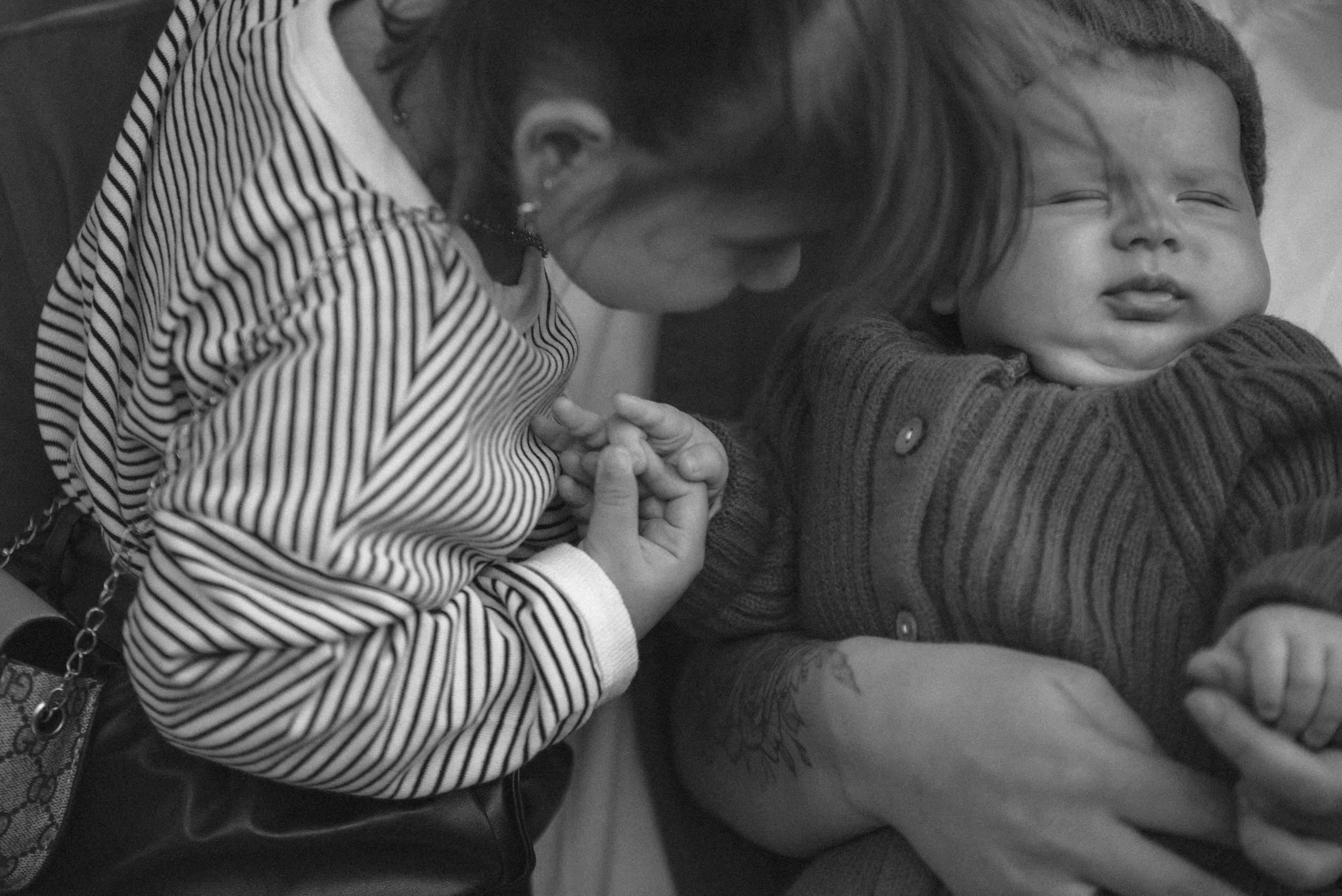 Семейная прогулка в ботаническом саду. Семейный фотограф в г. Ставрополь, Сорокина Мария