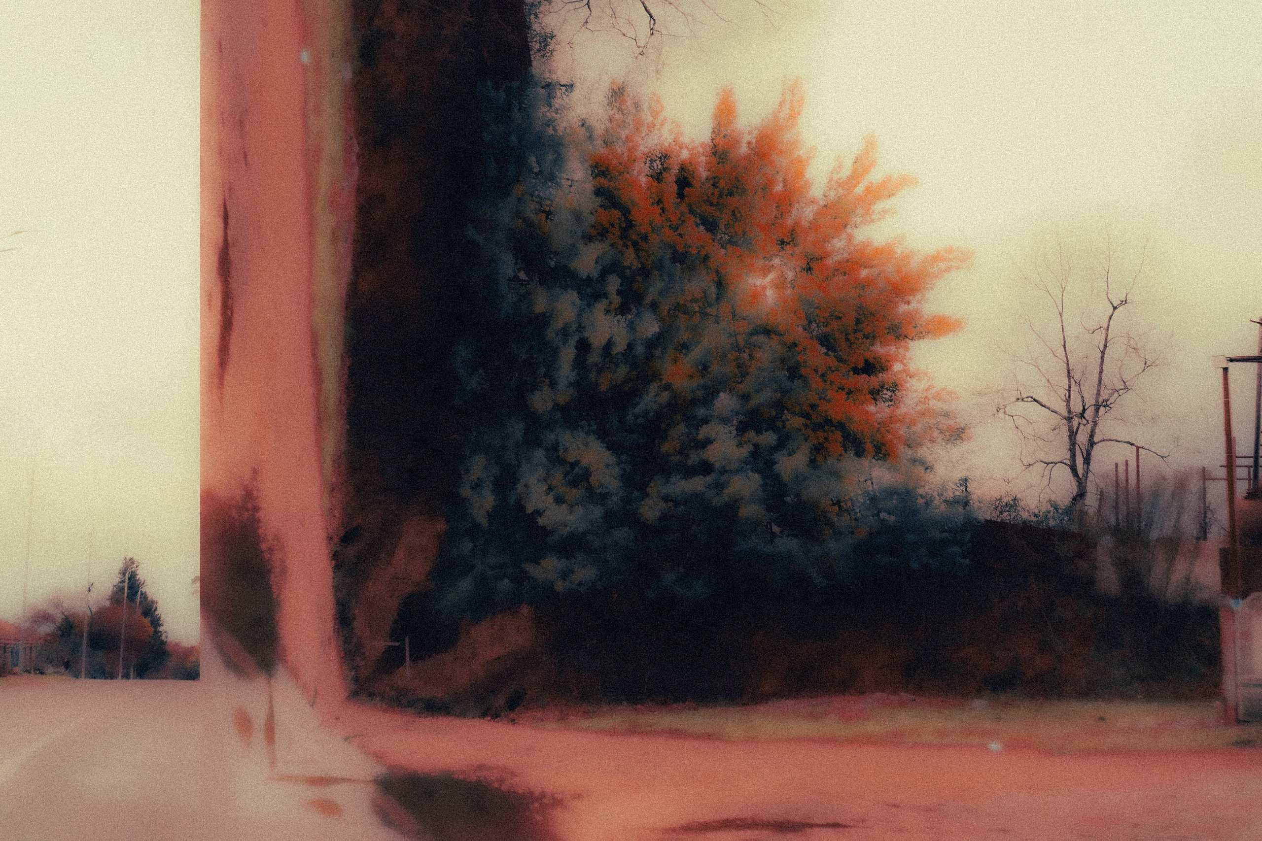 NATURE. Визуальный артист Наташа Солнцева