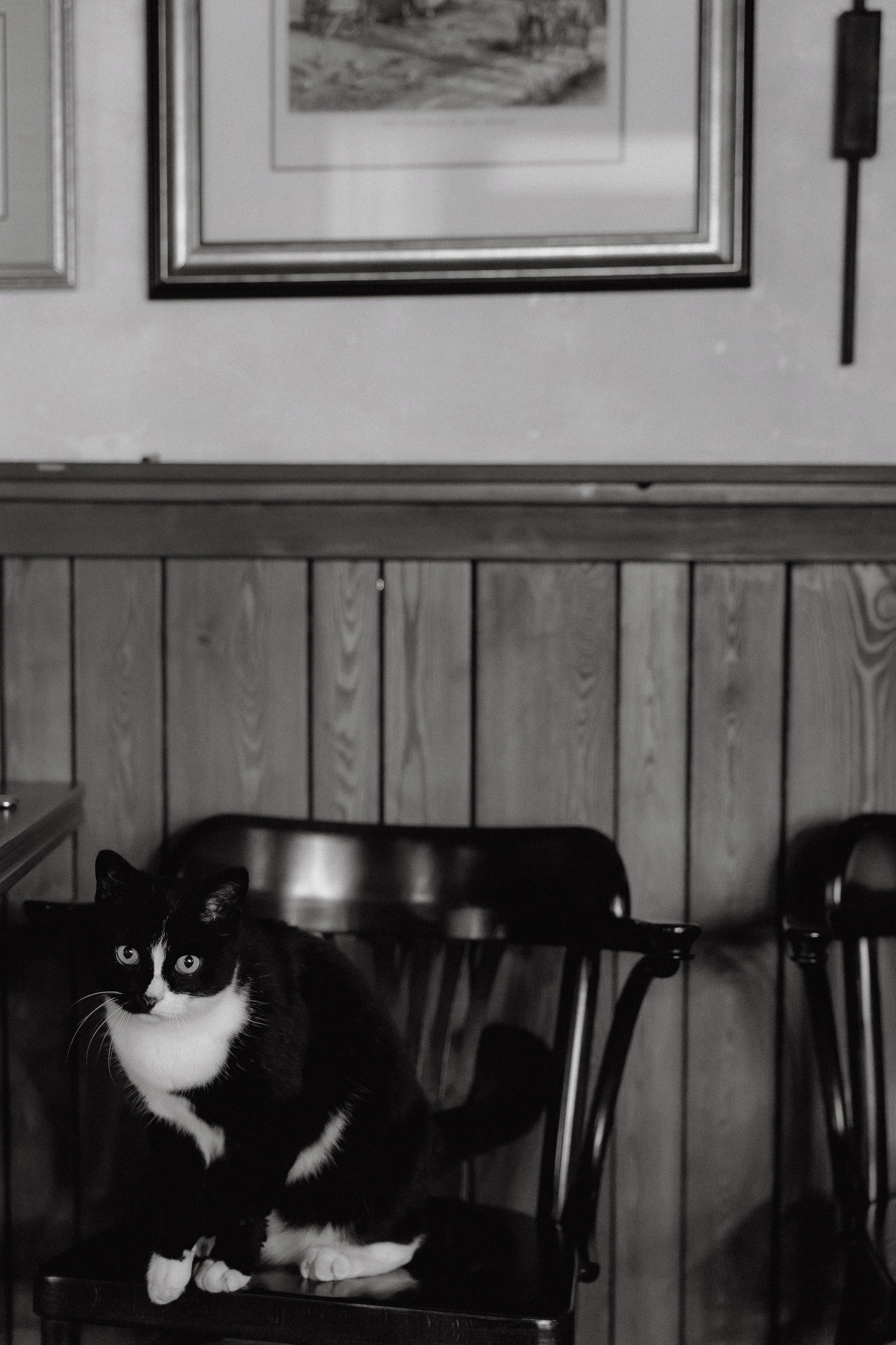 Равиль | Сабина. Свадебный фотограф|Казань|Москва