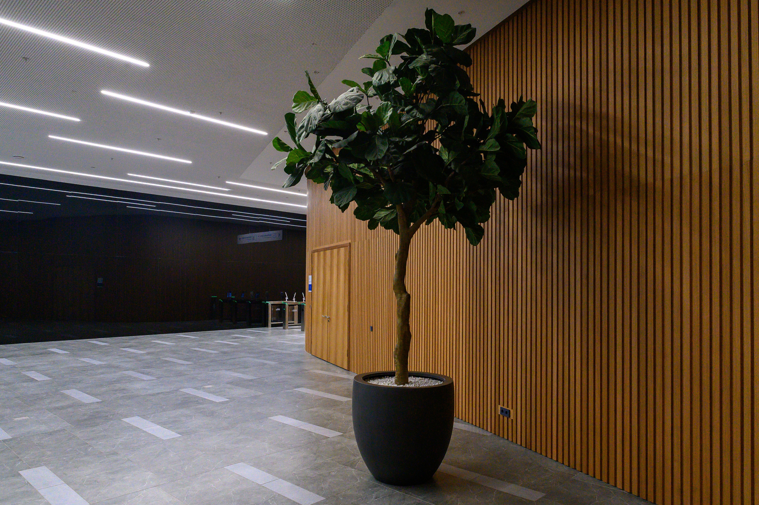 BelExpo. Фотоуслуги, услуги фотографа, фотографирование важных событий