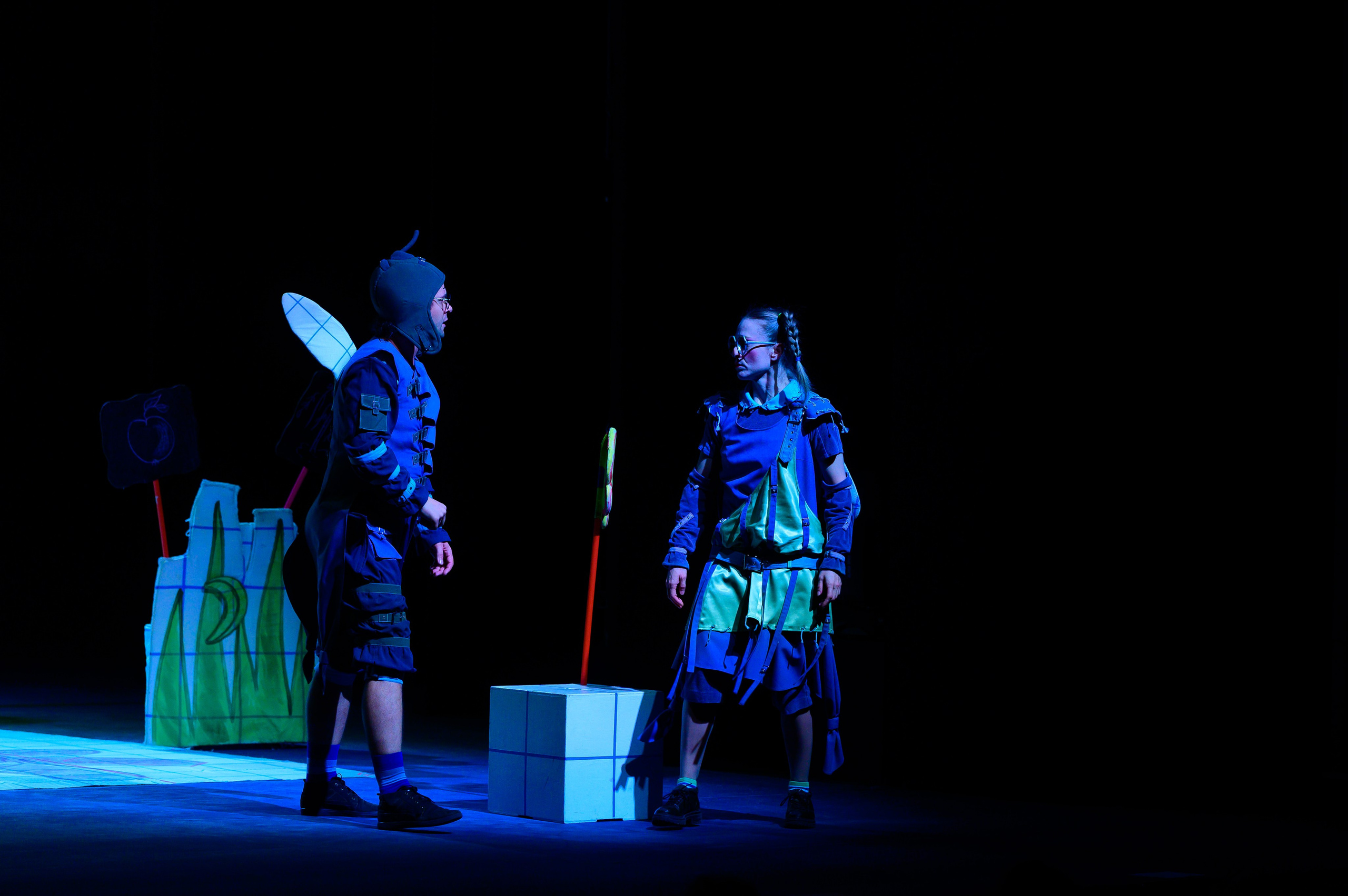 Муха Цокотуха. Фотоуслуги, услуги фотографа, фотографирование важных событий