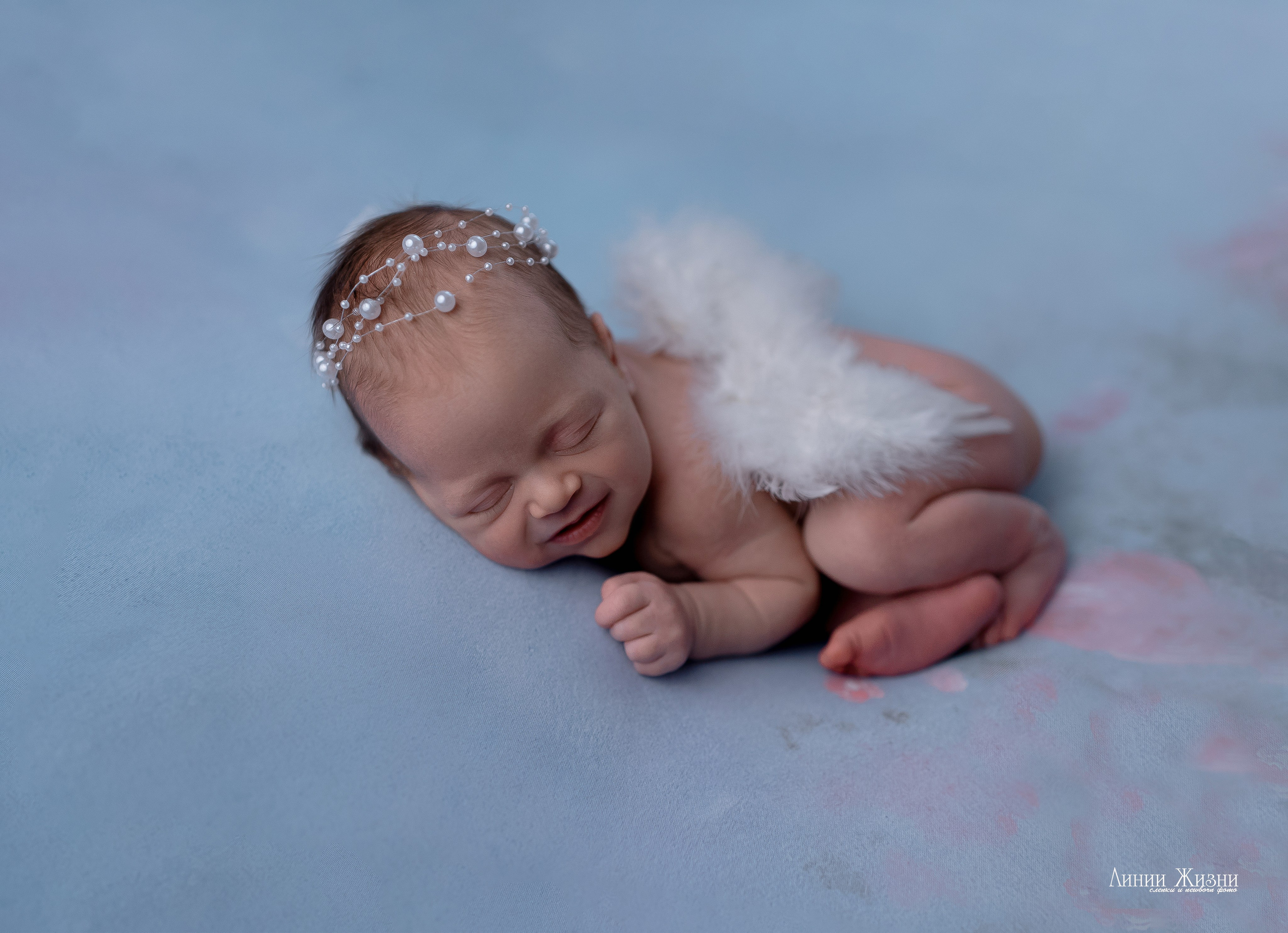 Альбина 14 дней. Фотограф новорожденных в Нижнем Новгороде Сергеева Оксана