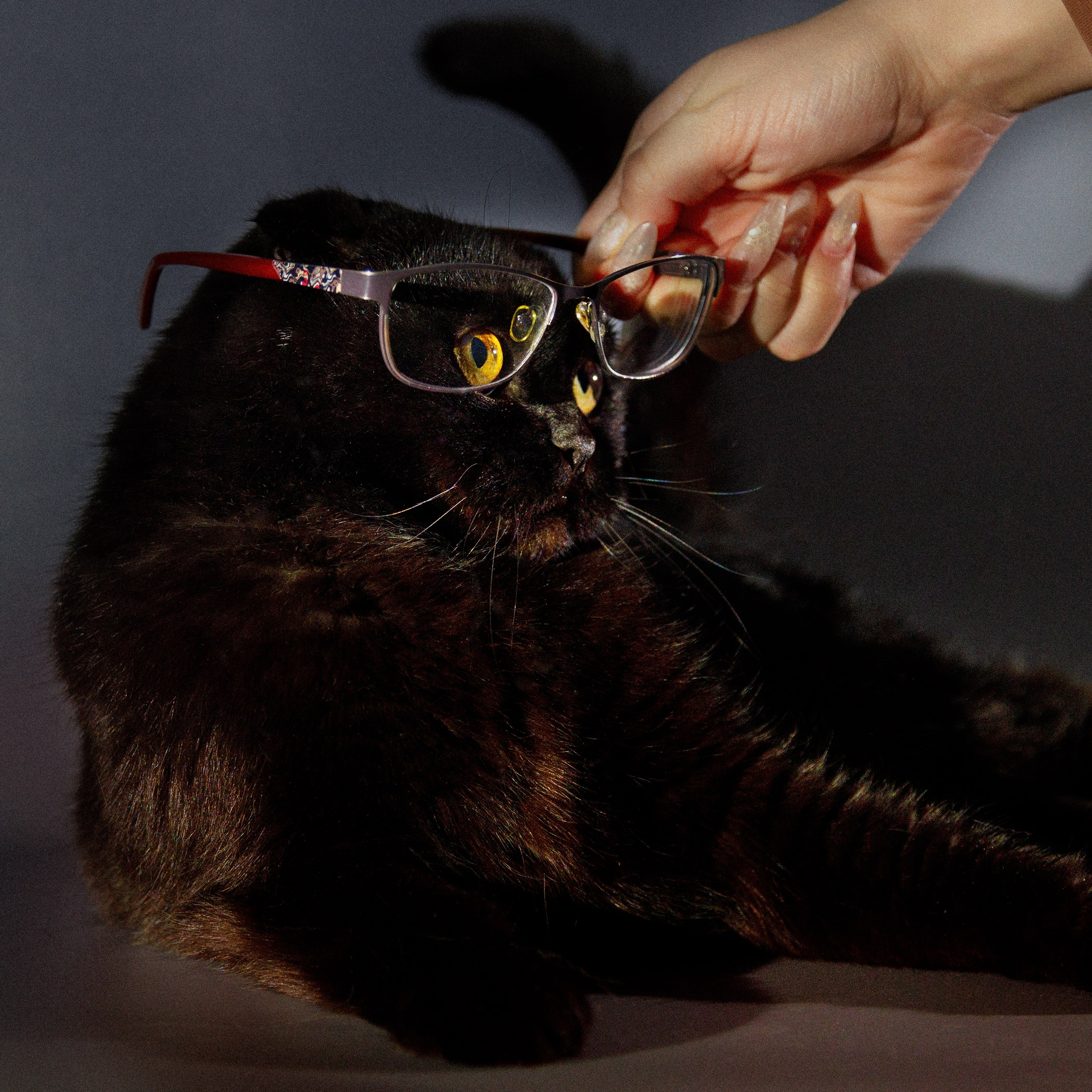 Проект «366»|2024|Фото каждый день. LENA GRACE photographer ||ЛЕНА ГРЭЙС фотограф