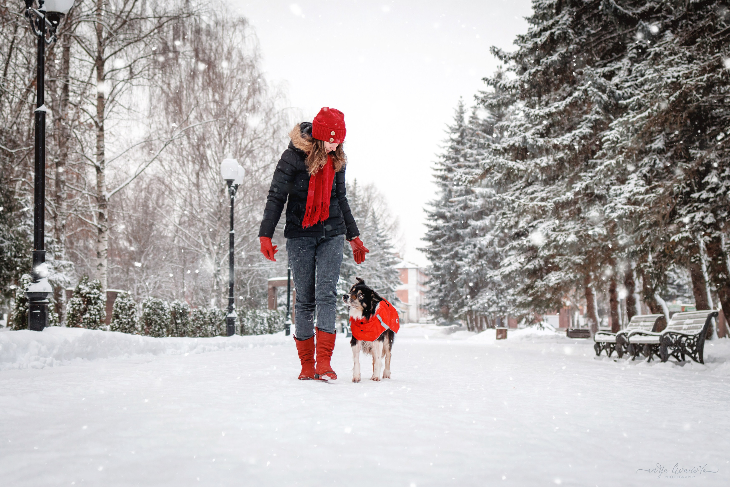 Рокки. Фотограф анималист Аня Ливанова | Рыбинск