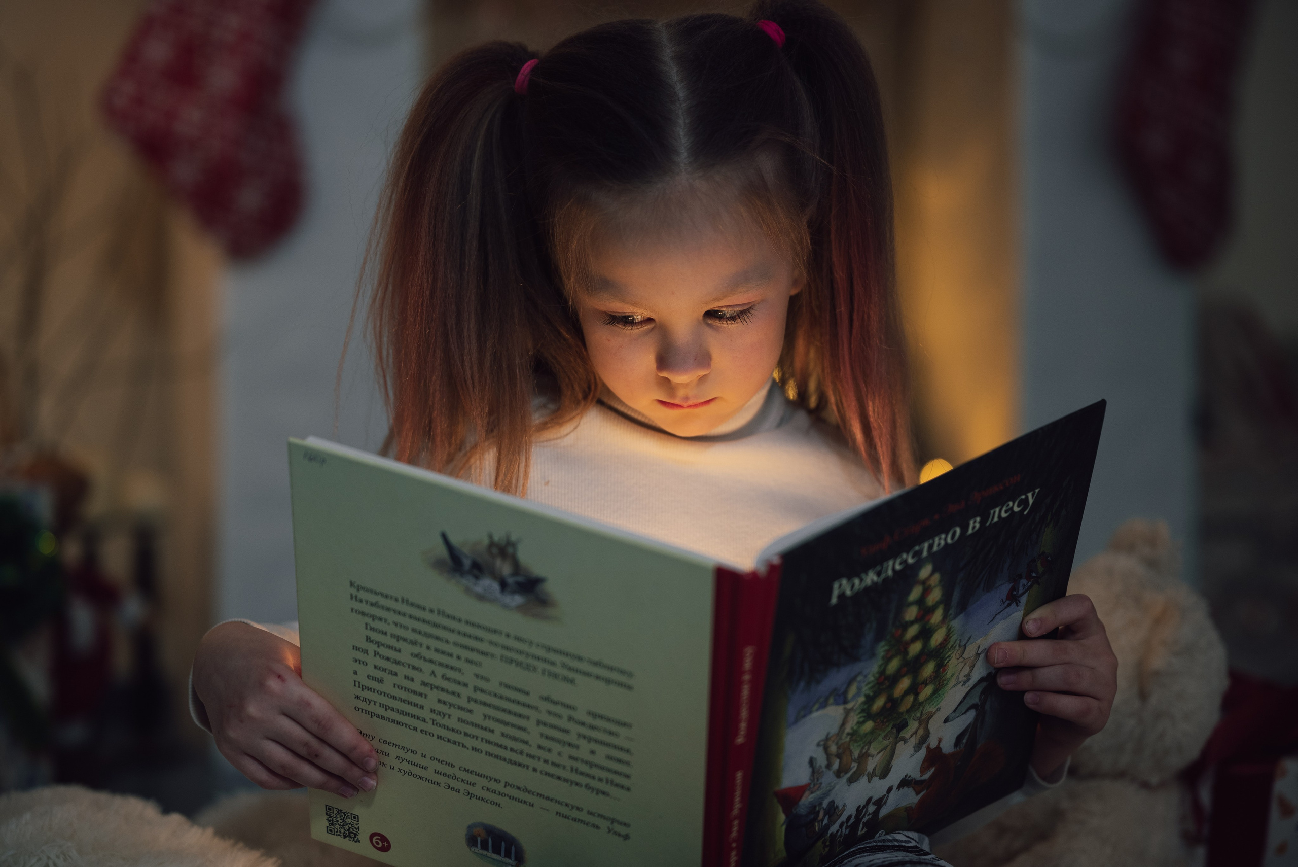 Новогодний 2022-2023. Фотограф Екатерина Шишкина. Питкяранта. Карелия