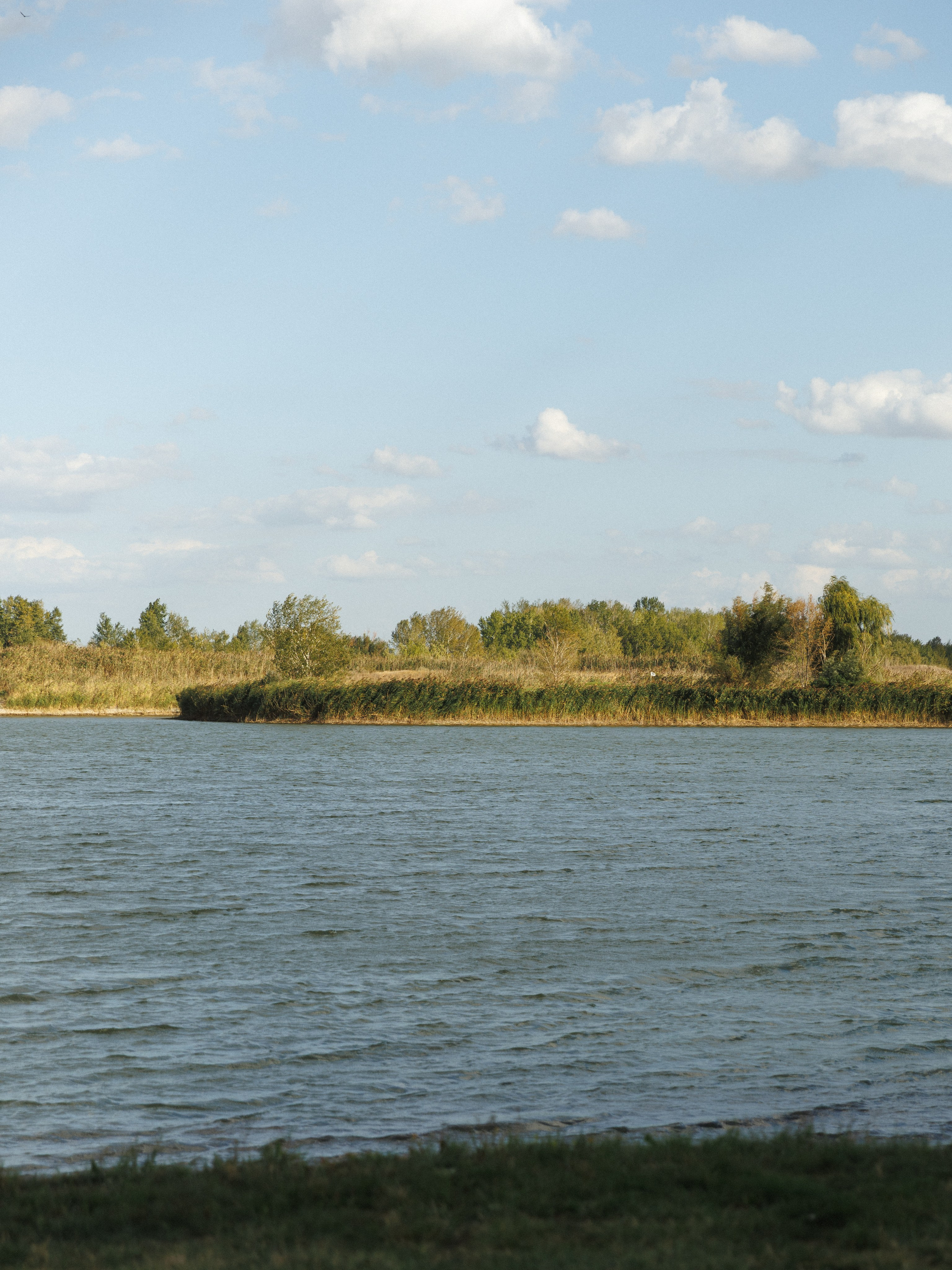 Семен и Валерия. Фотограф