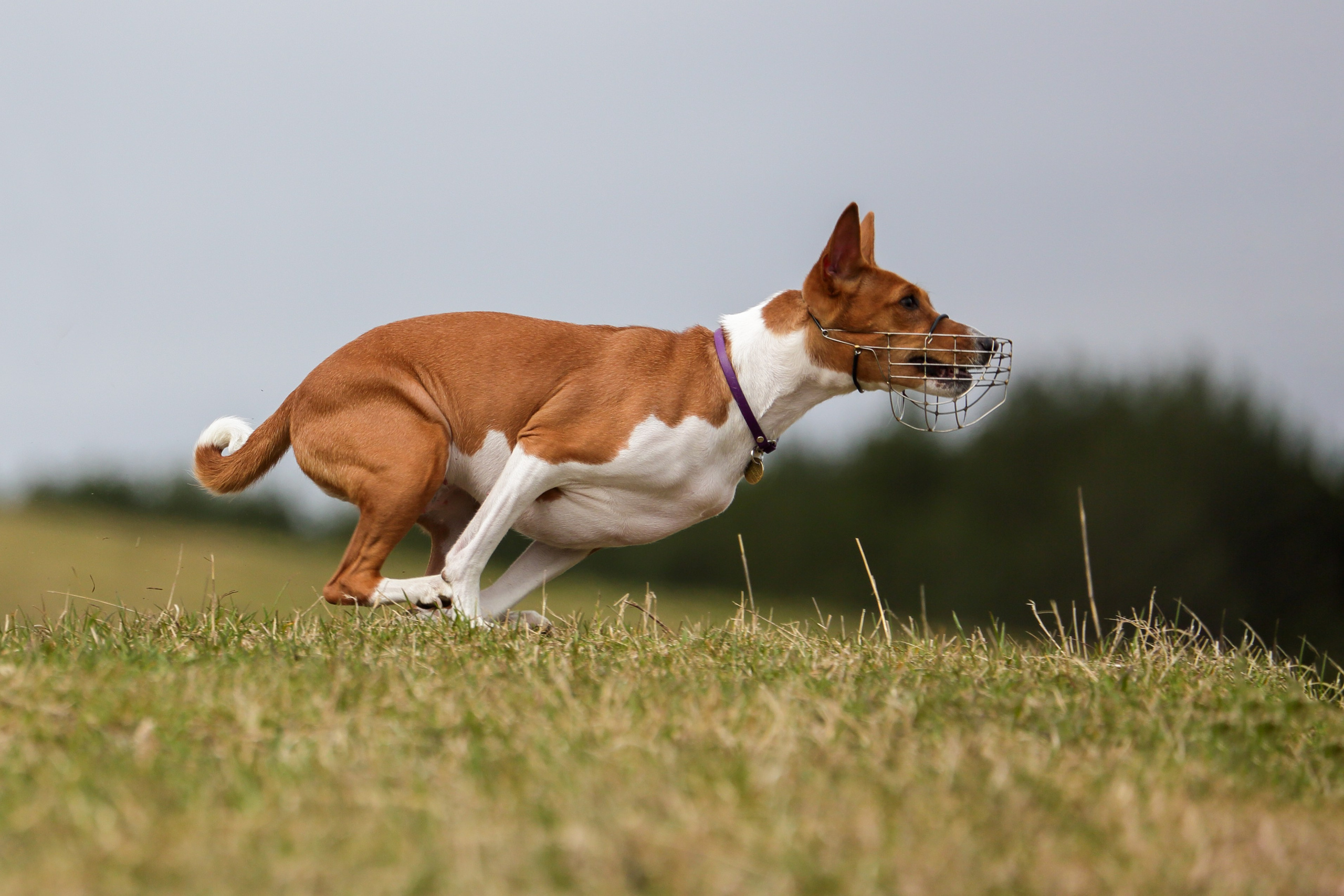 Lure Club май 2024. Irenephoto.ru