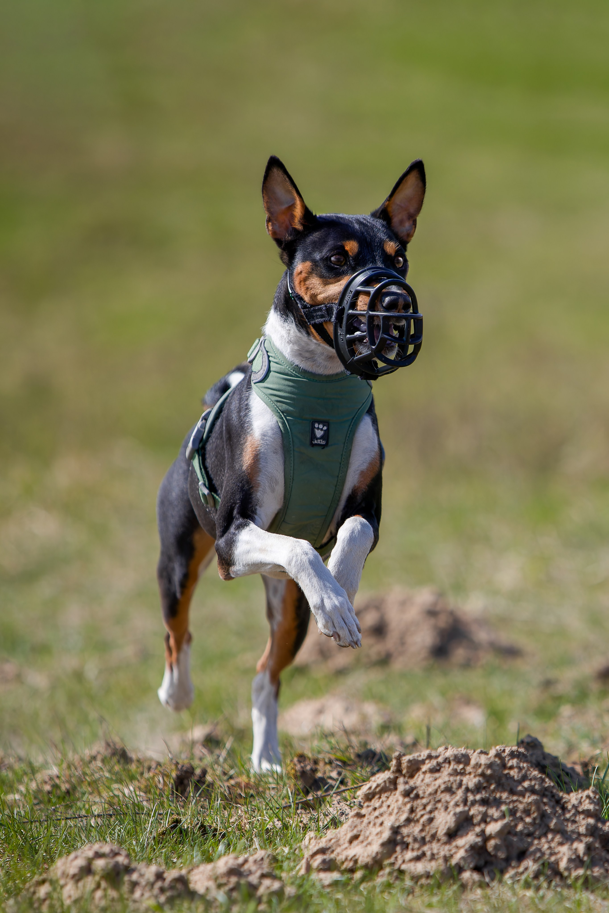 Lure Club 2025. Irenephoto.ru