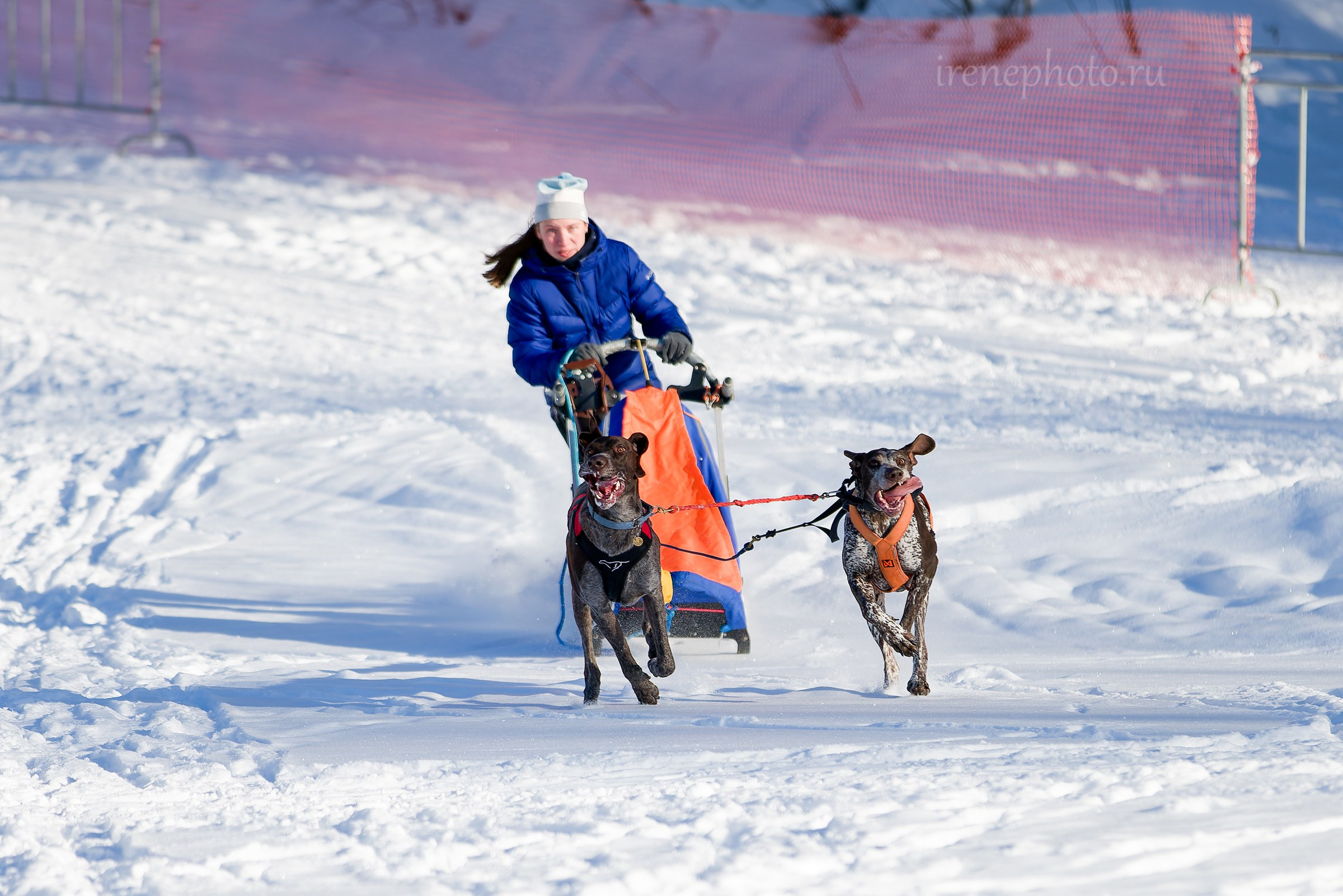 Чемпионат и Первенство Ленобласти — зима 2026. Irenephoto.ru