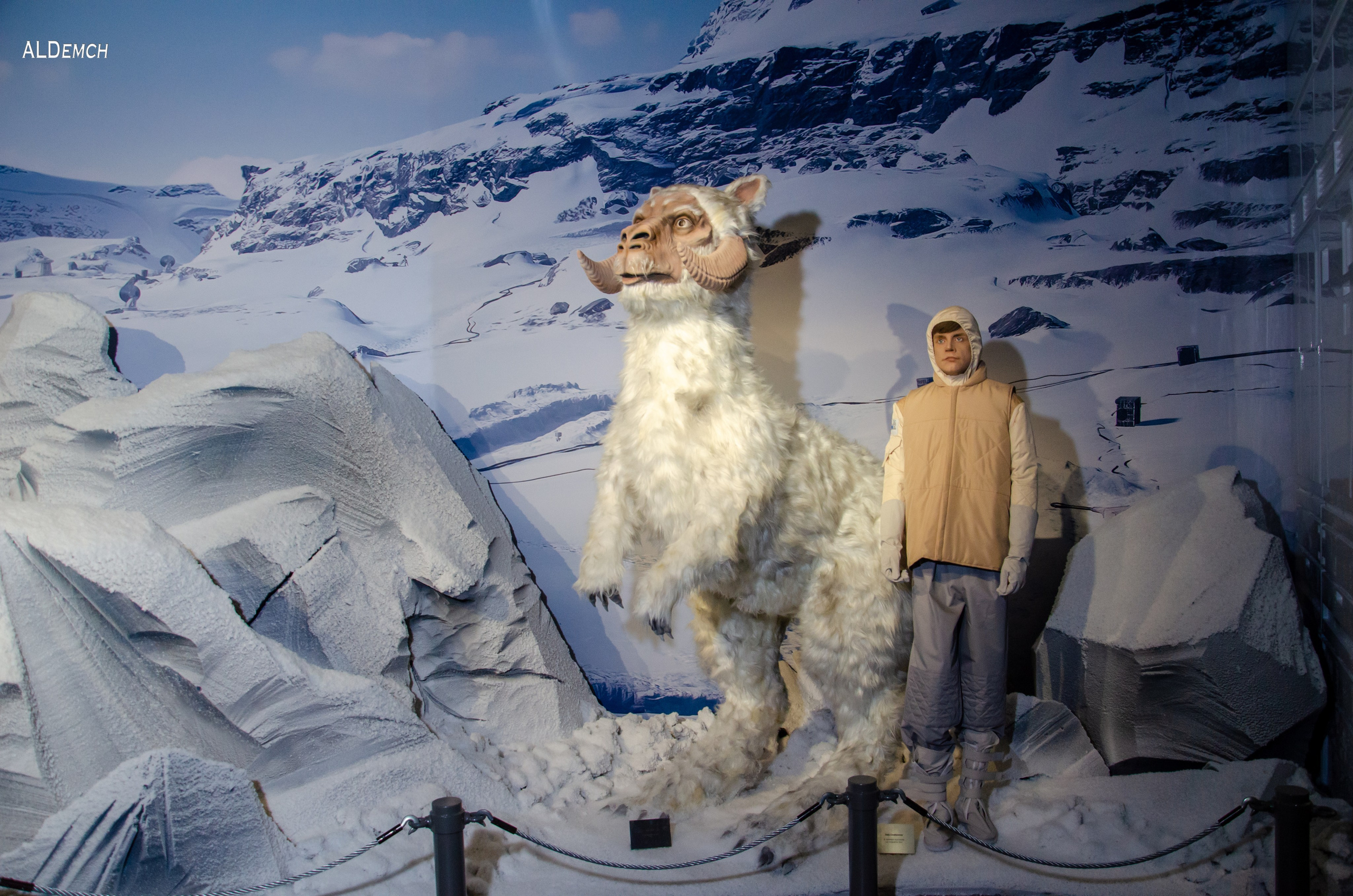 Фотосессия на ВДНХ косплей выставки по звёздным войнам