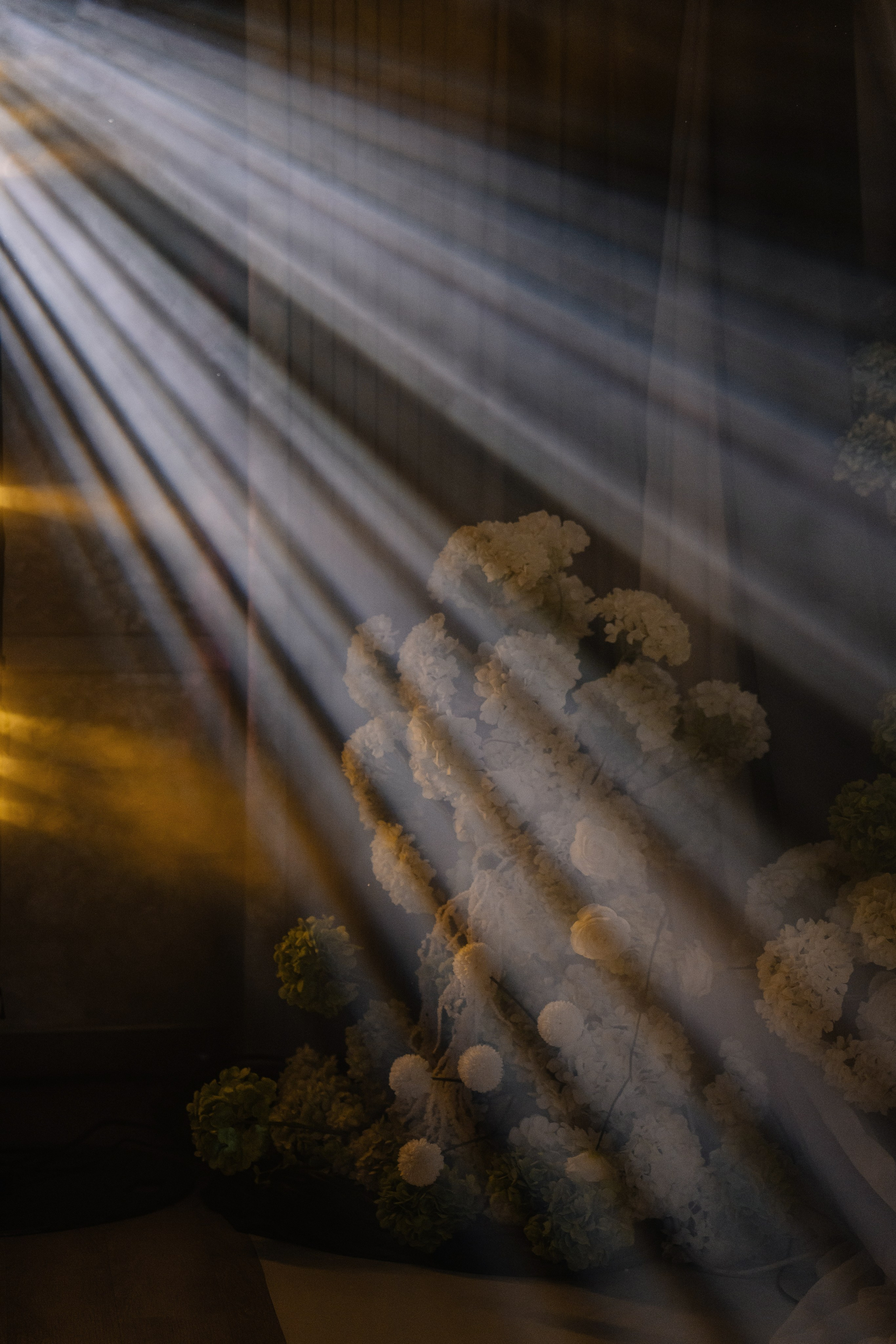 Искренность. Свадебный и семейный фотограф в Анапе Елена Полетаева