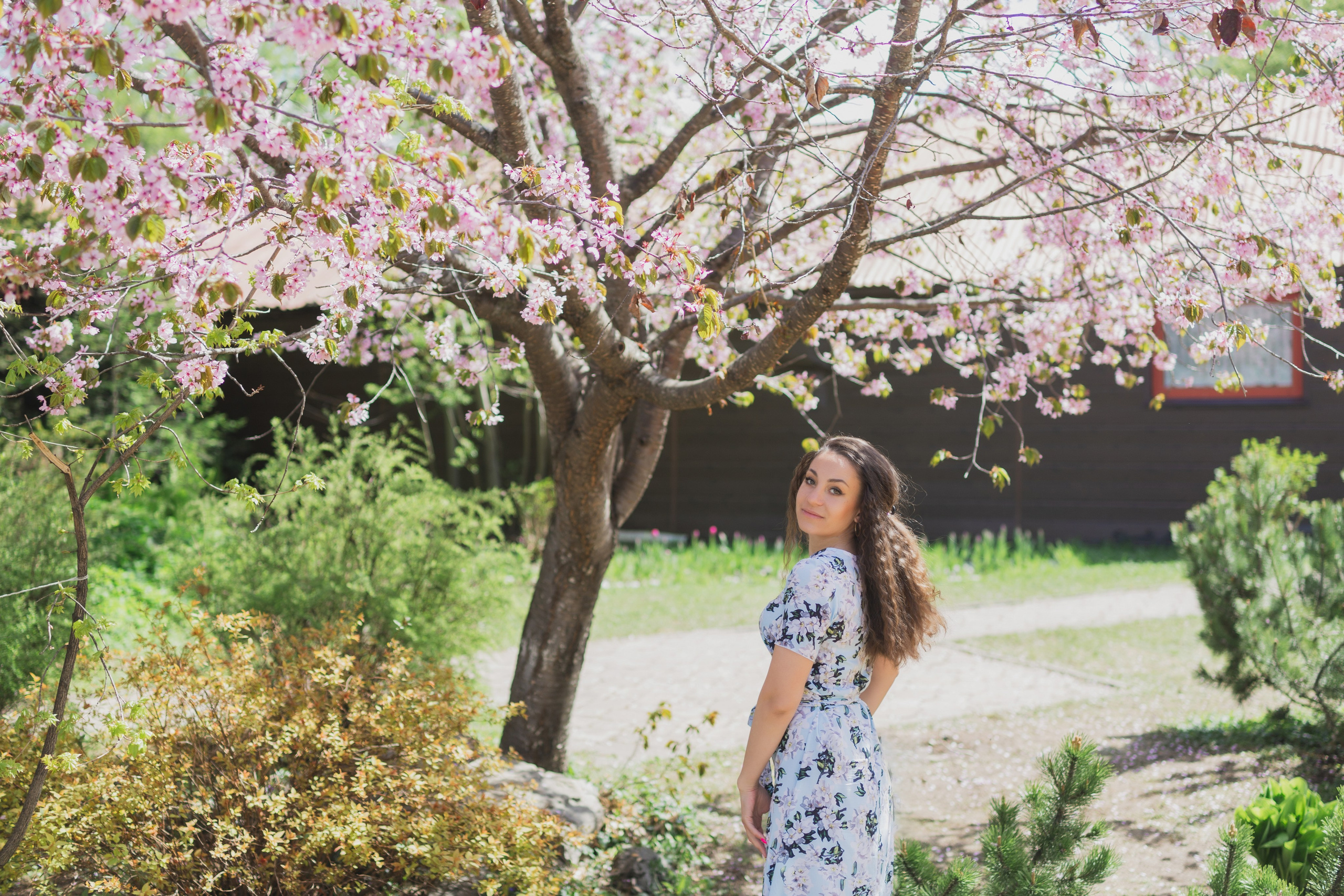 Настя и сакура. Фотограф Южно-Сахалинск