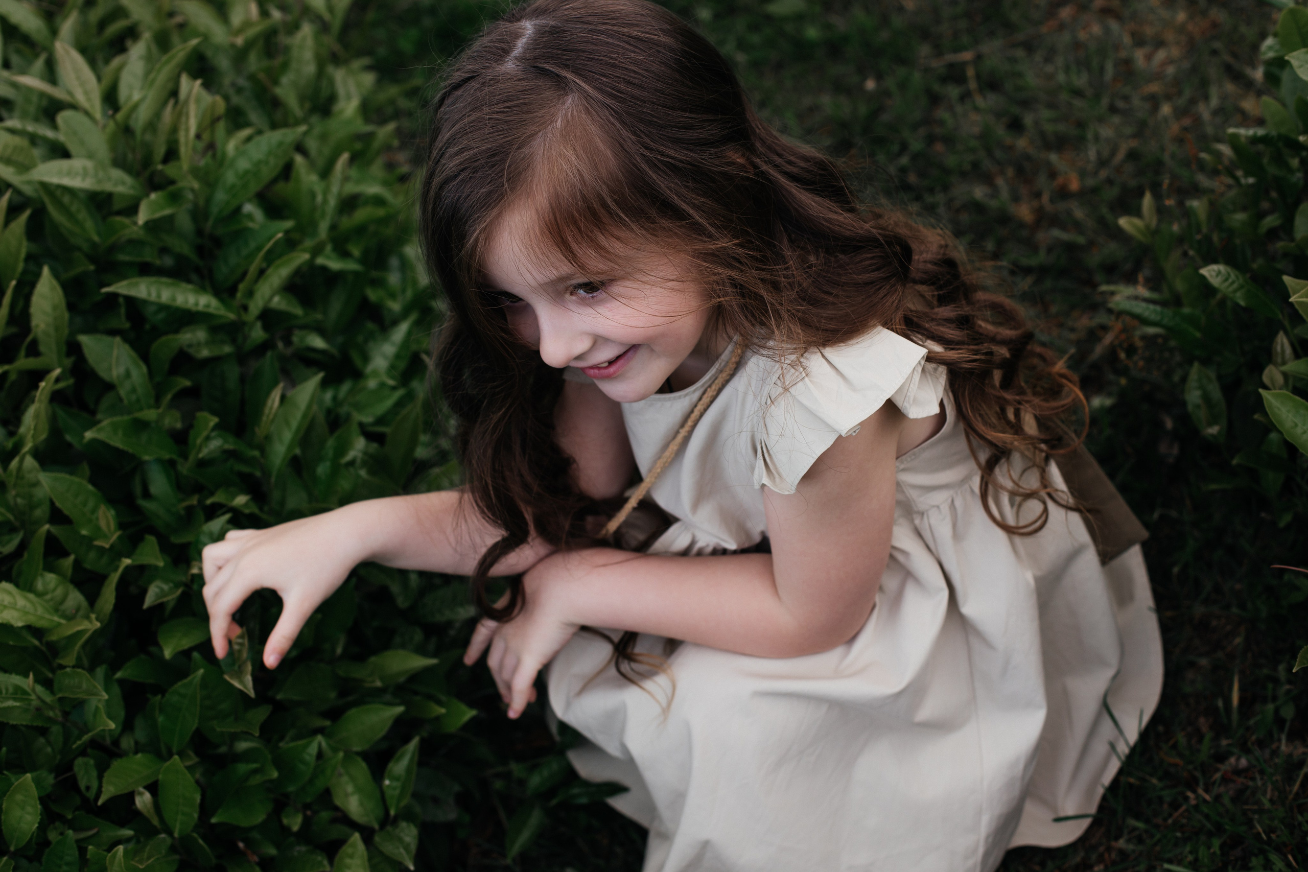 Tea plantation. Efimova Model Agency