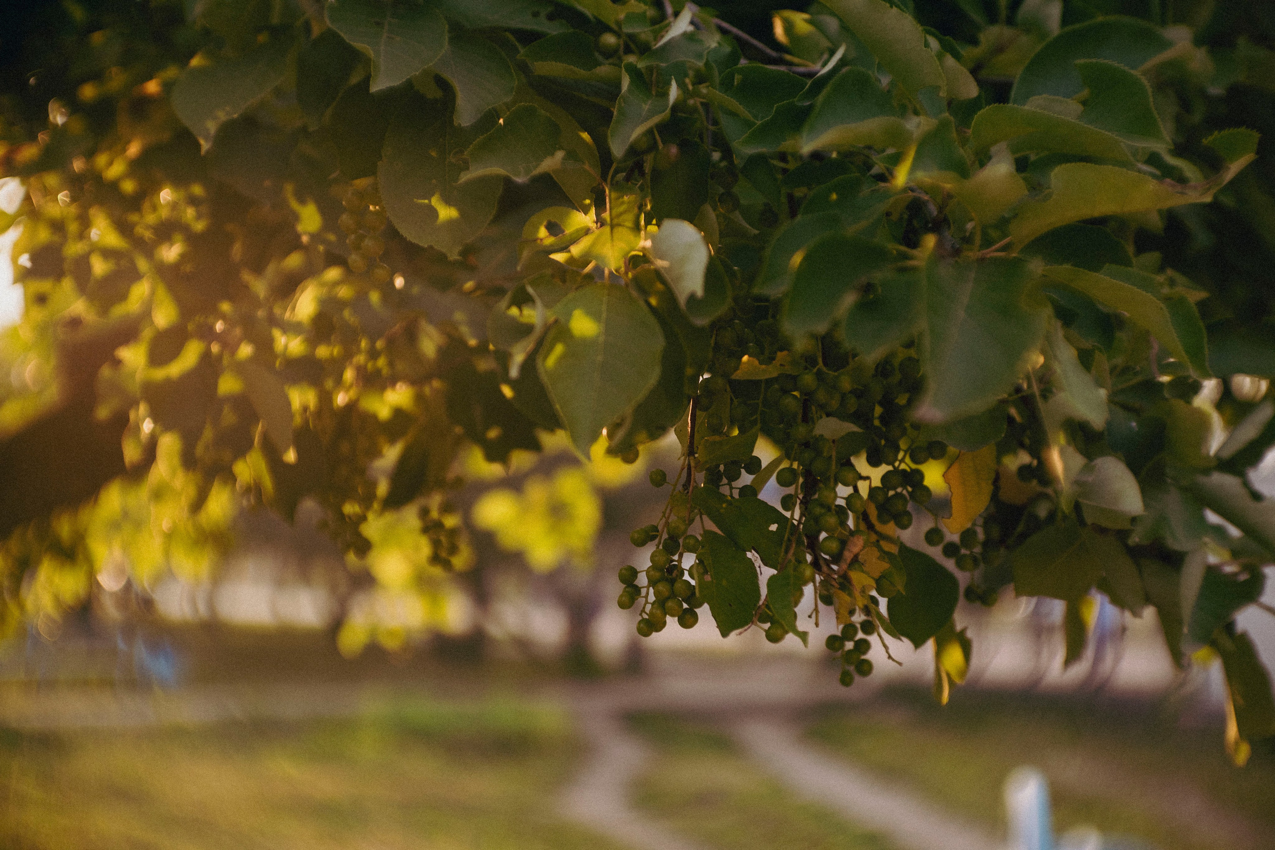 Пейзажи. Фотограф Димитровград Казань Валерия Владимиркина