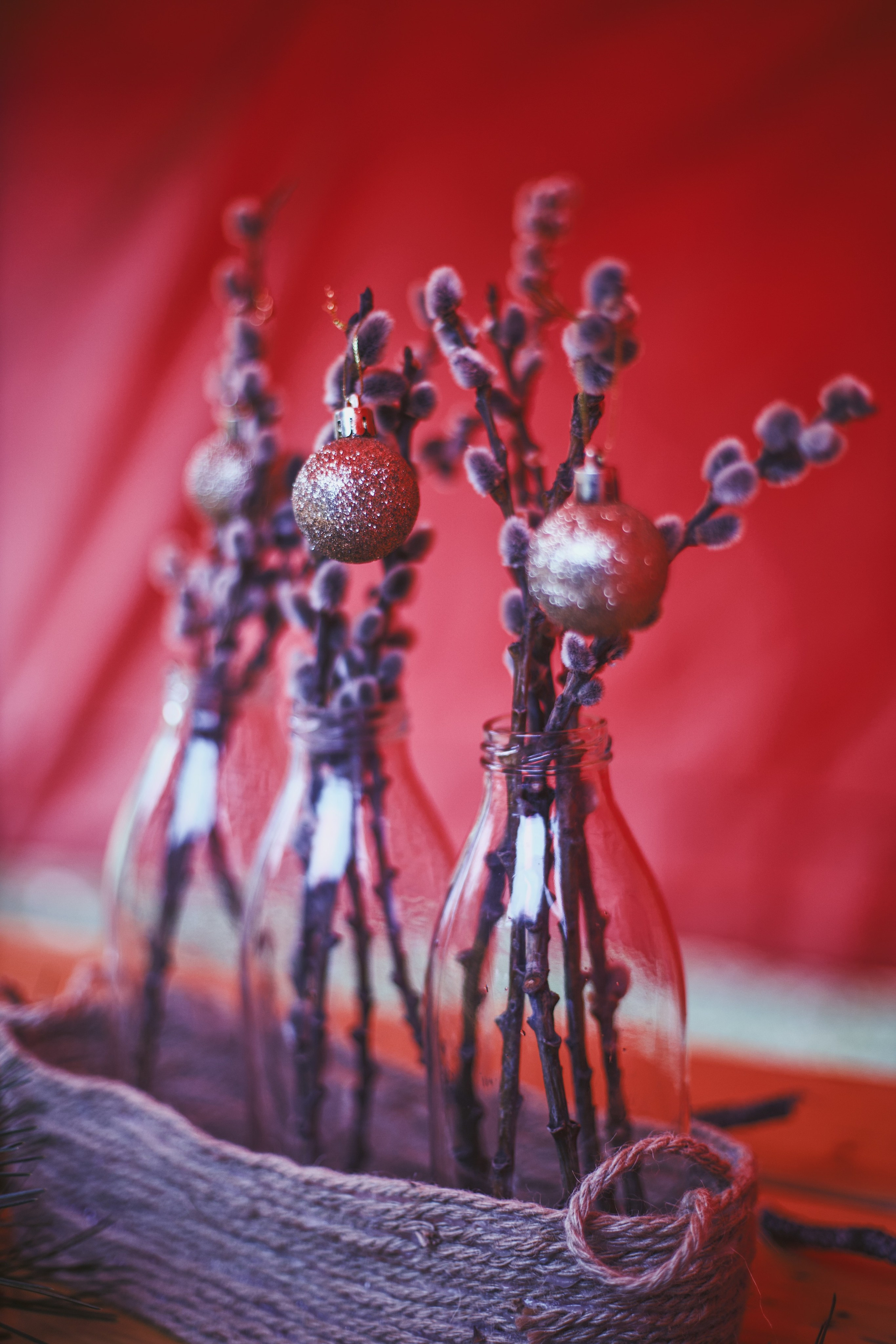 Christmas Tree opening in Dilijan city park. Фотограф в Армении Женя Гилевич