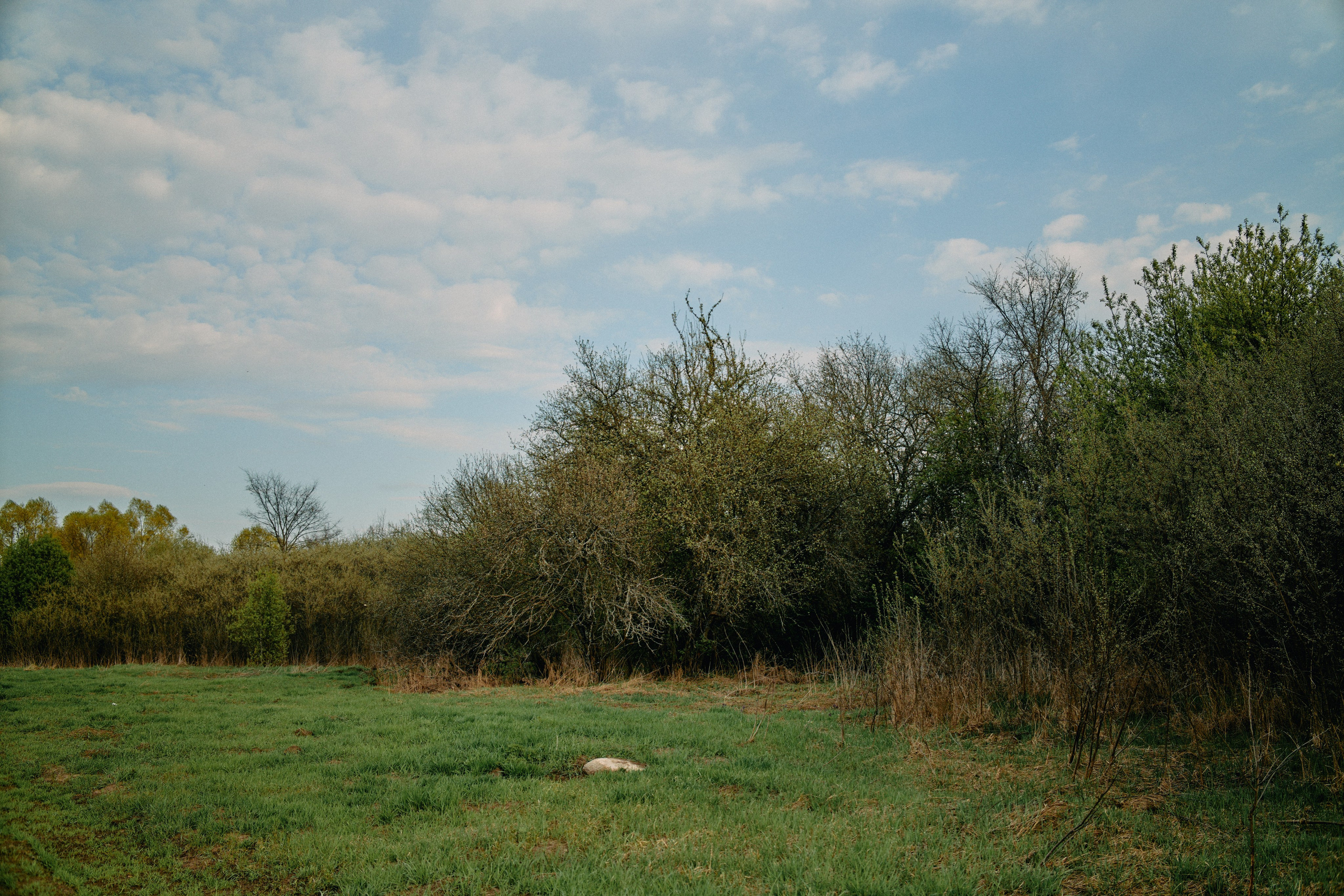 Бутик-отель Поле летом. Профессиональный Фотограф во Владимире, в Москве и в Суздале — Полина Романычева