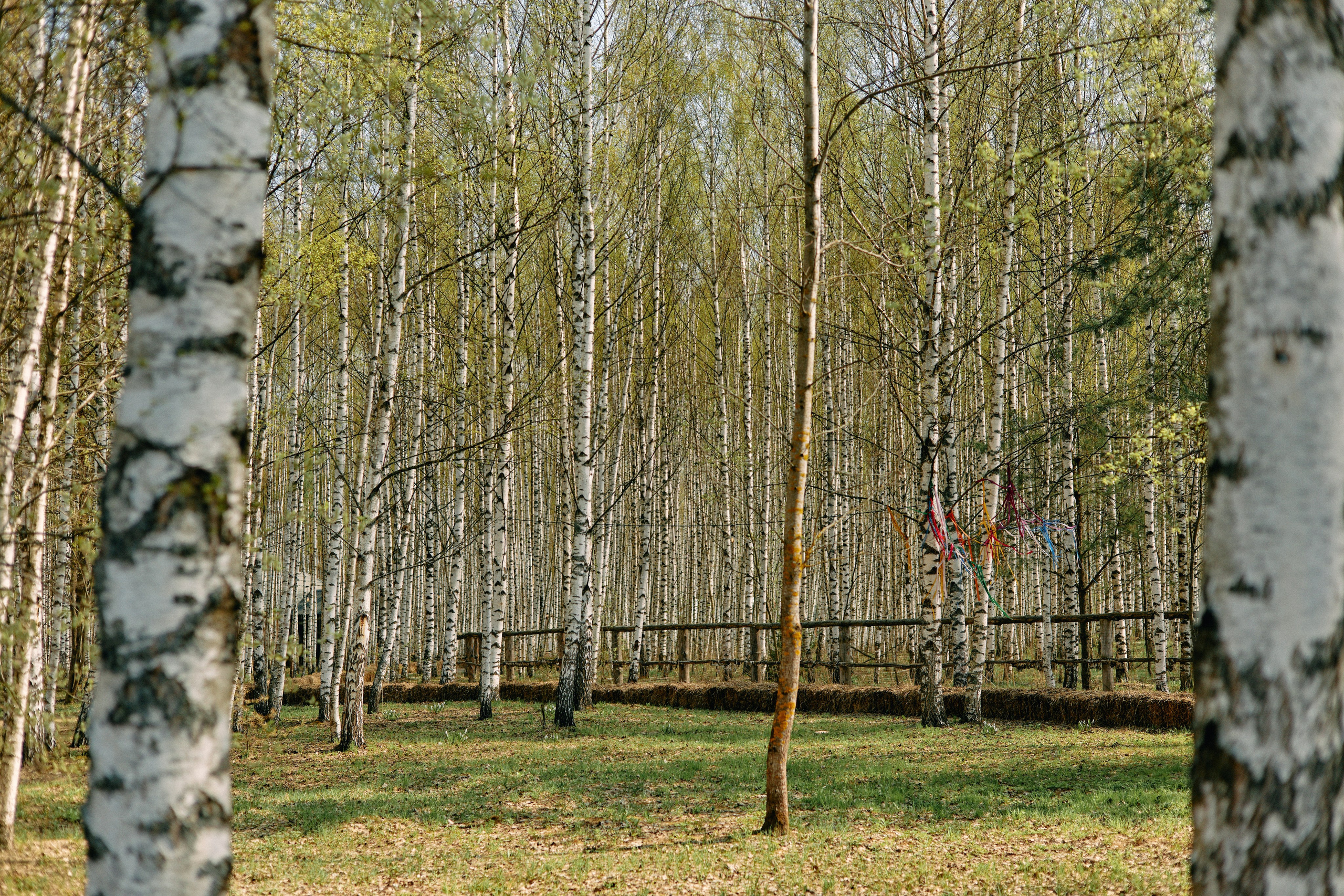 Бутик-отель Поле летом. Профессиональный Фотограф во Владимире, в Москве и в Суздале — Полина Романычева