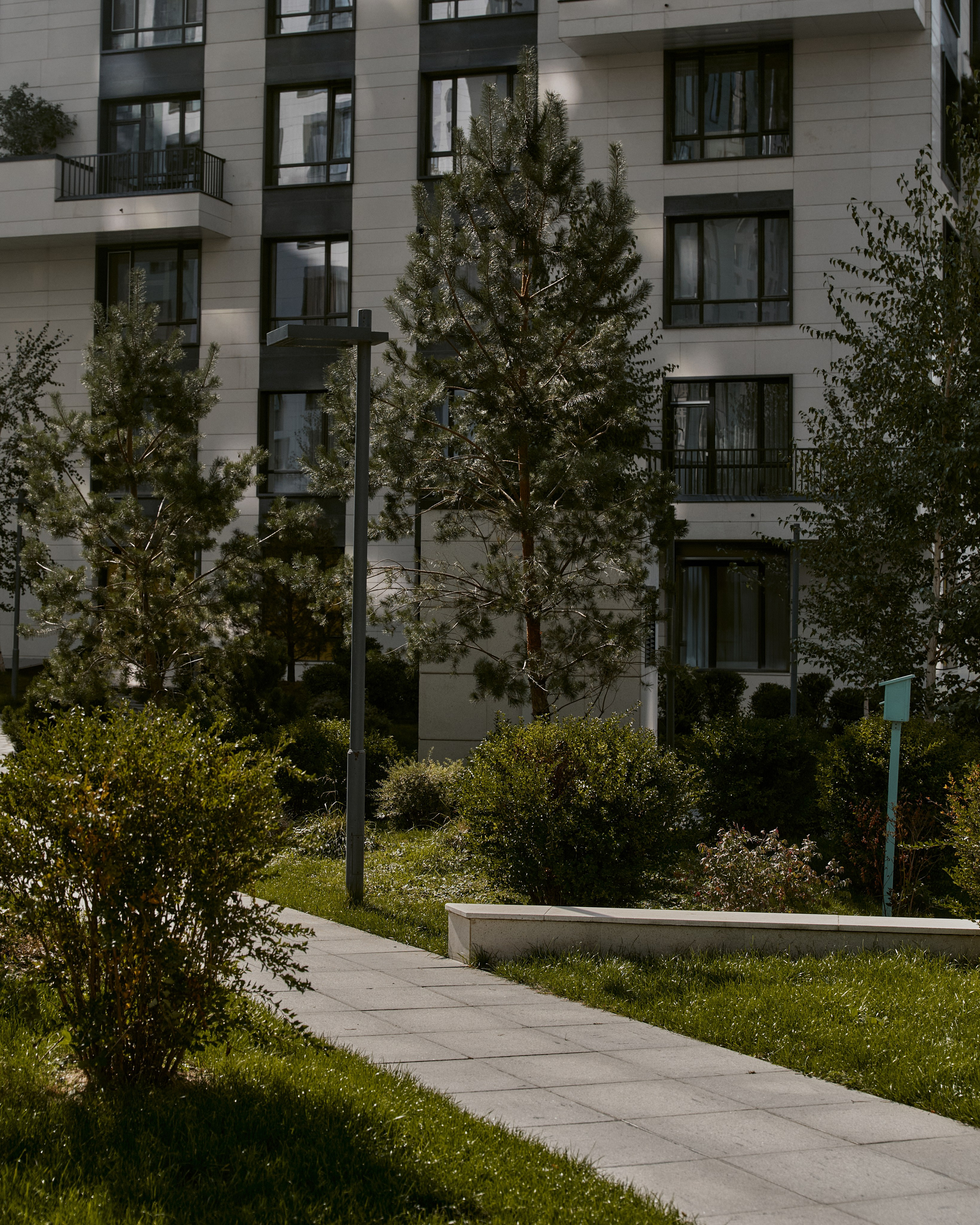 CORNUS. Фотограф Москва Сергей Громов