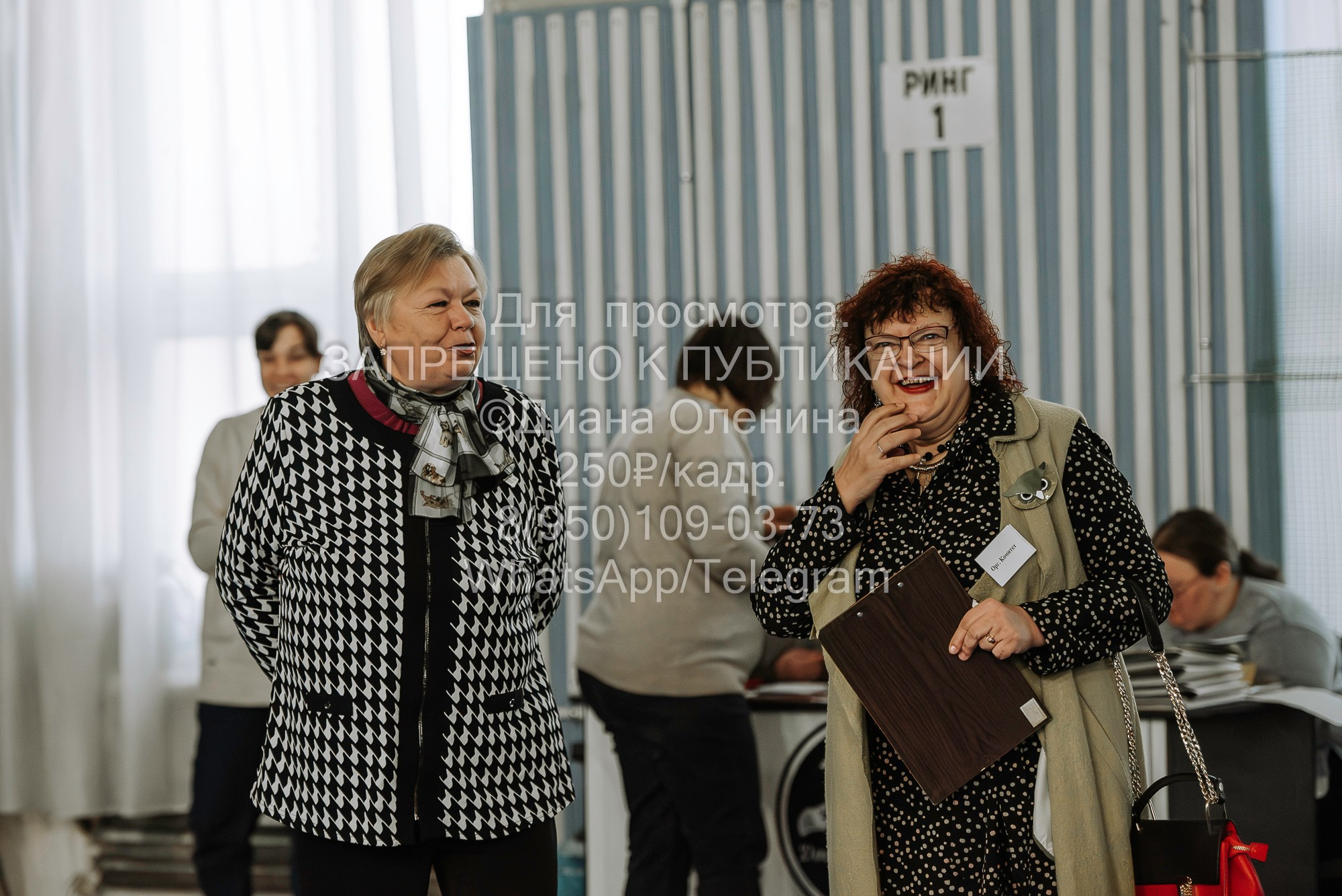 Выставка собак Красноярск 29.10.2023. Фотограф Диана Оленина Красноярск / Братск