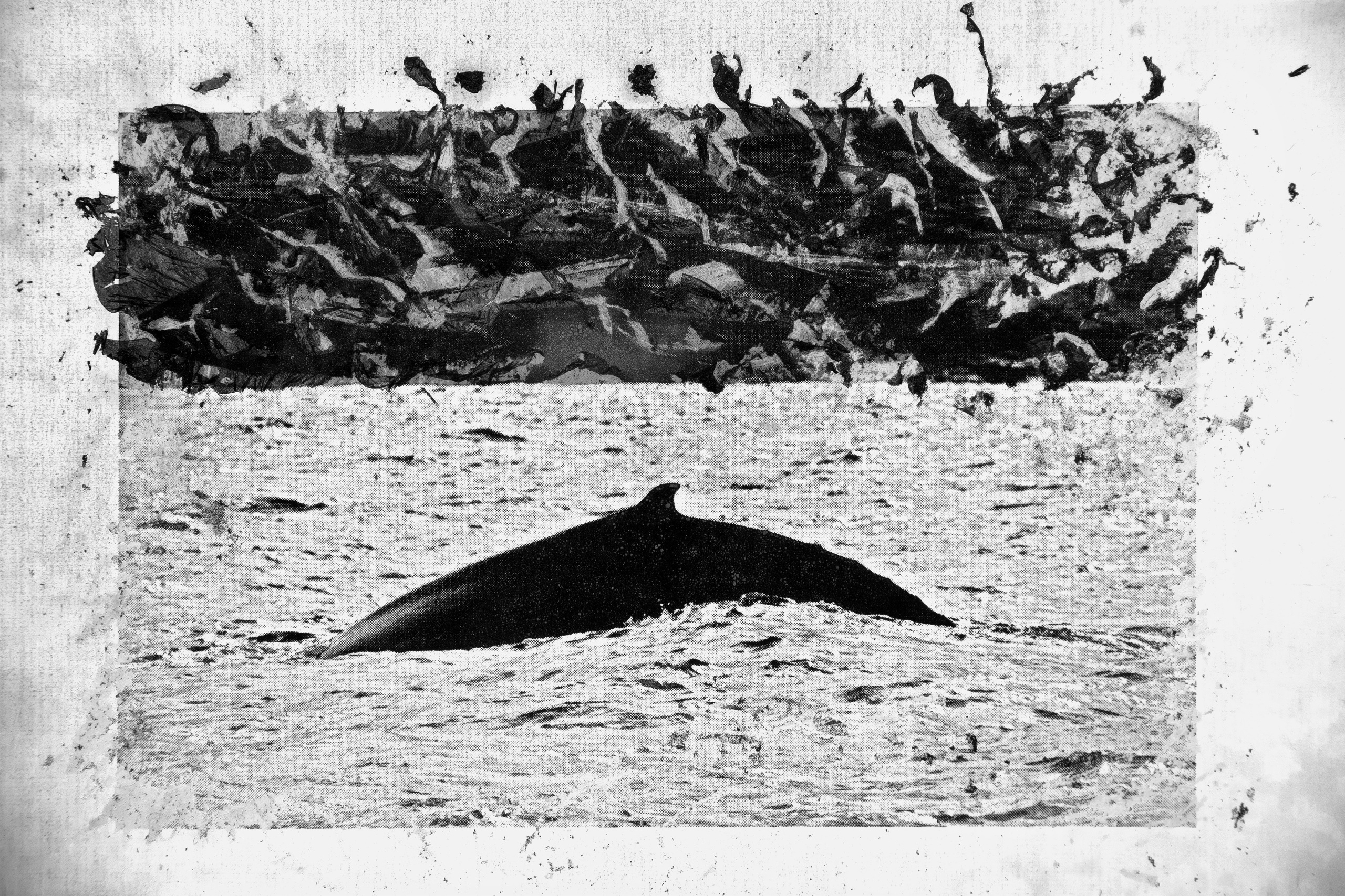 Boundaries of reality. Irina Borodina