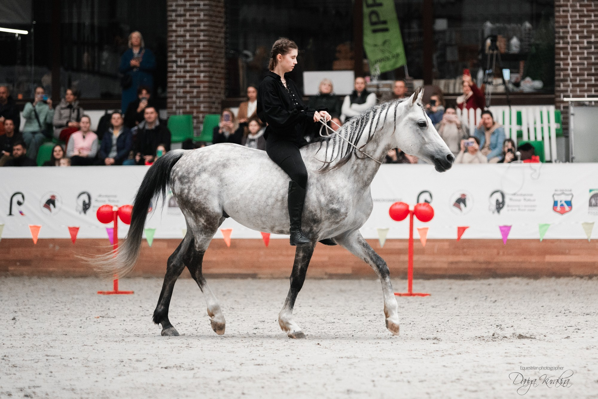 8-я международная выставка Конная Россия. Конный фотограф Куракина Дарья • Фотосессии с лошадьми