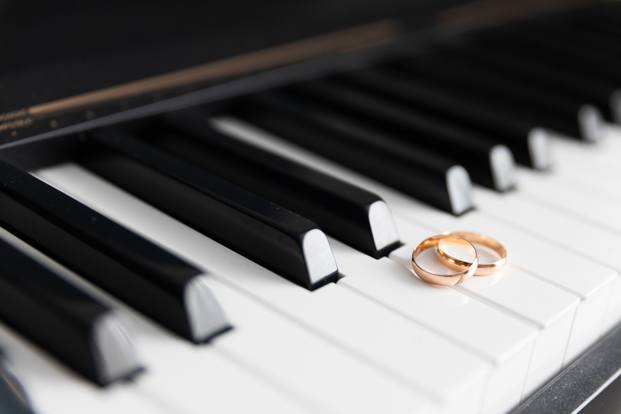 Свадебные фотосессии. Фотограф Владимир Зиновьев