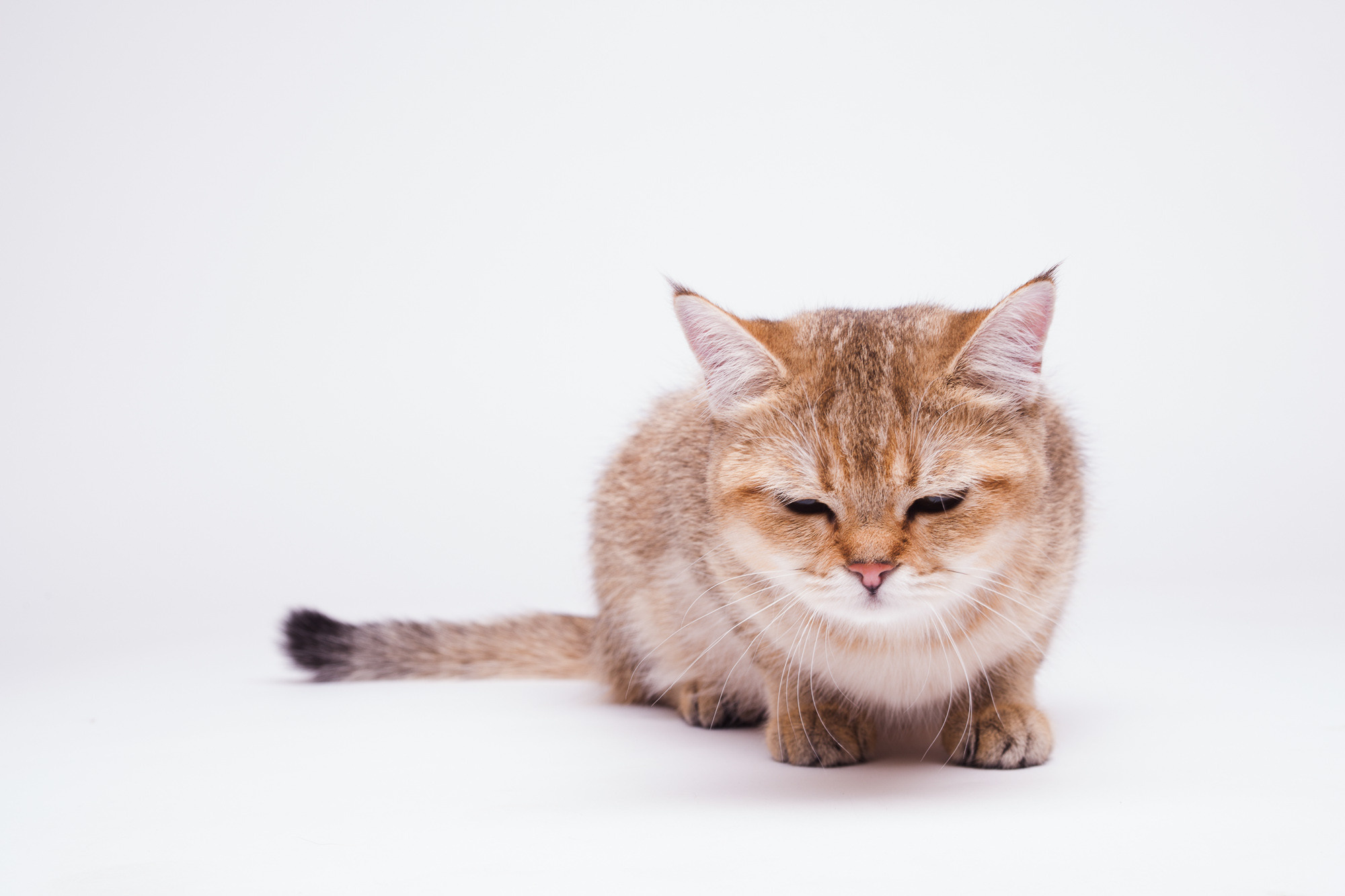 Фотограф Владимир Зиновьев